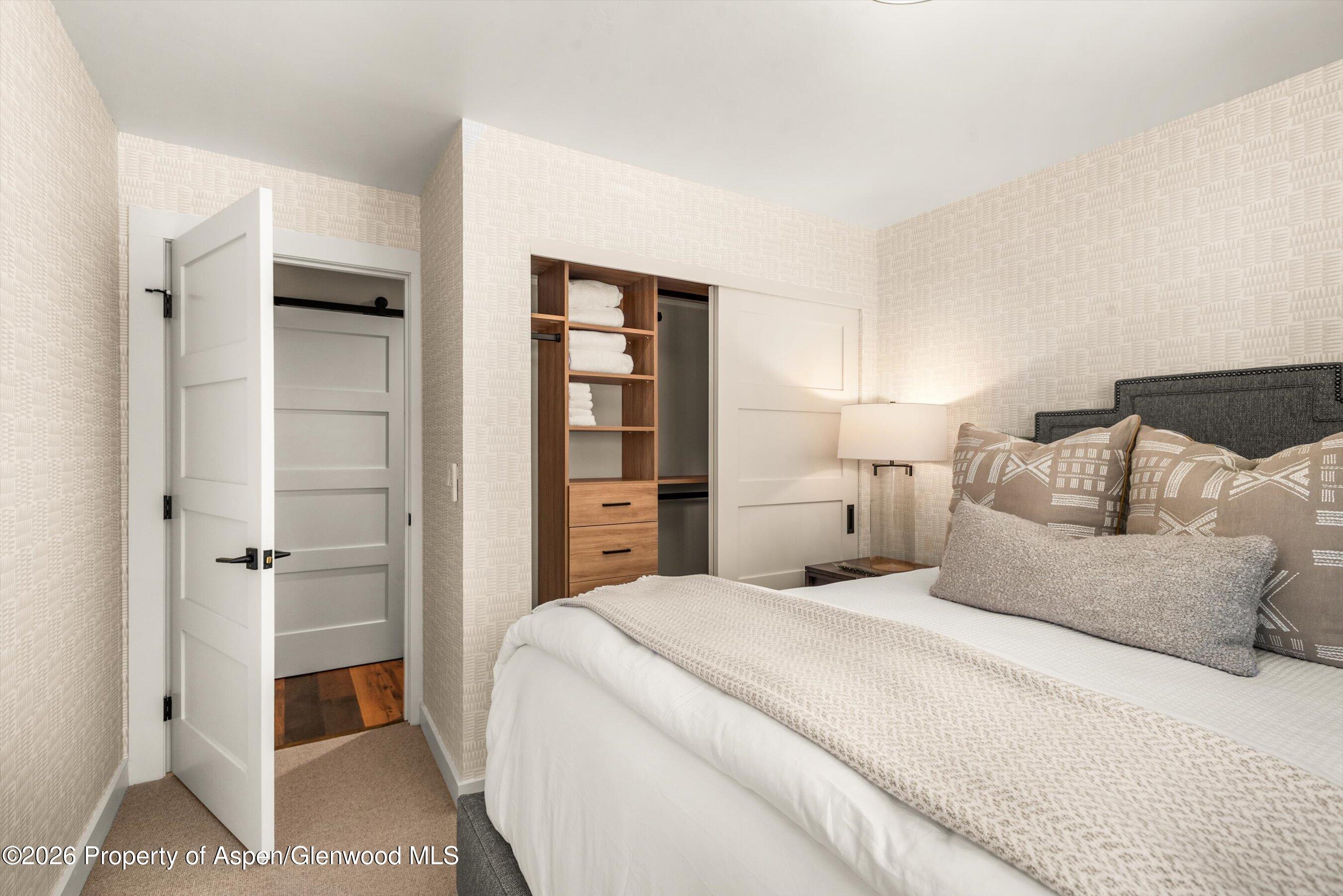 3207 Elk Lane Basalt CO 81621