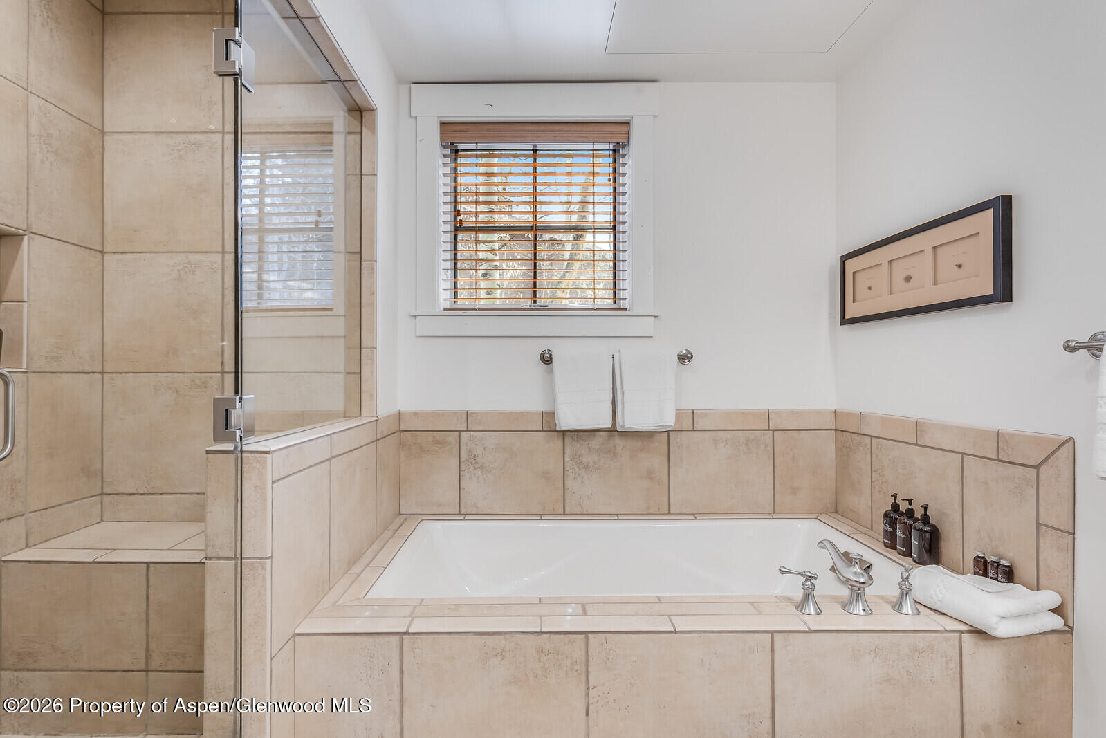 106 Clubhouse Drive Snowmass Village CO 81615