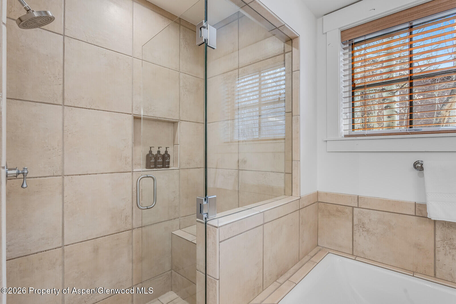 106 Clubhouse Drive Snowmass Village CO 81615