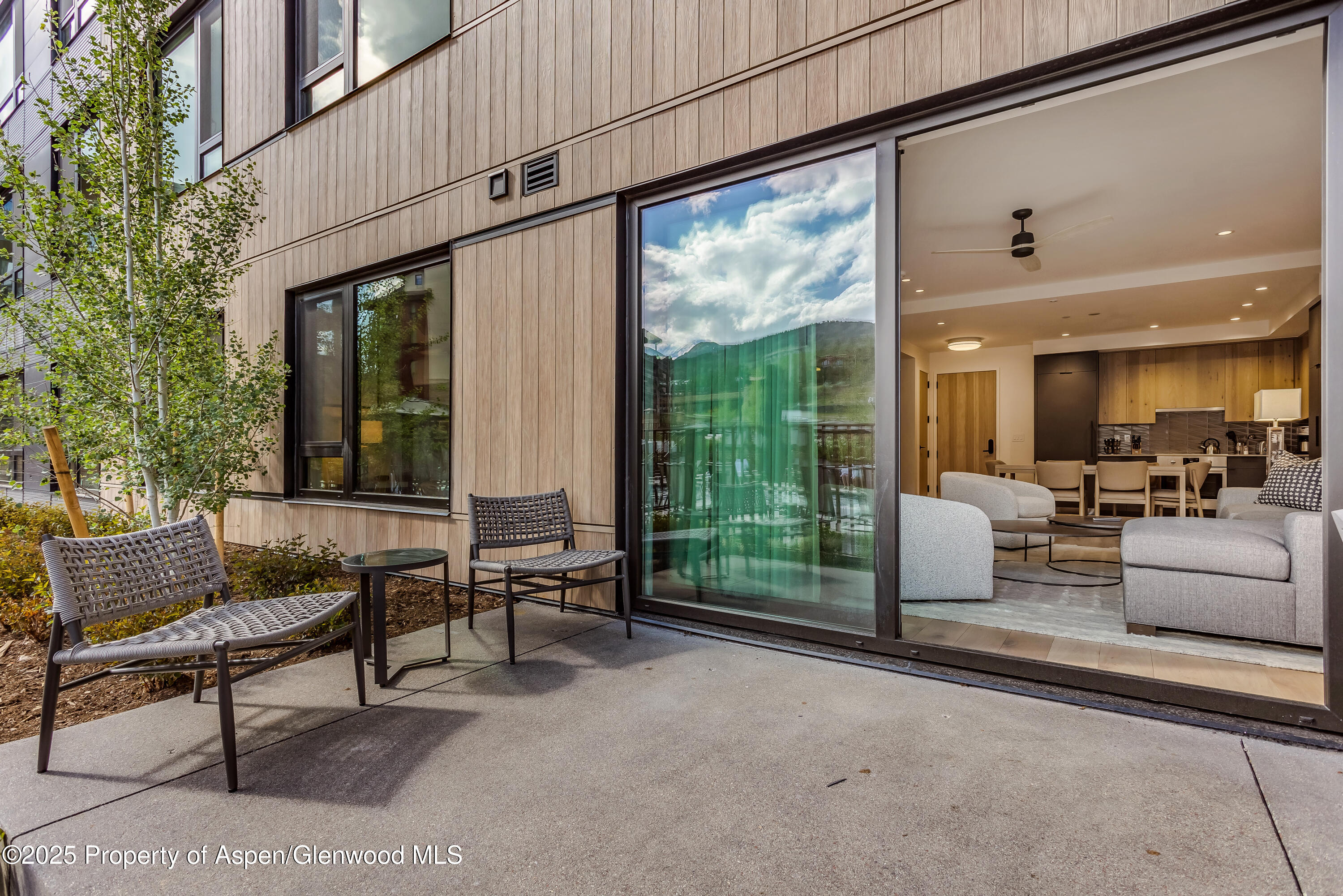 119 Wood Road Snowmass Village CO 81615