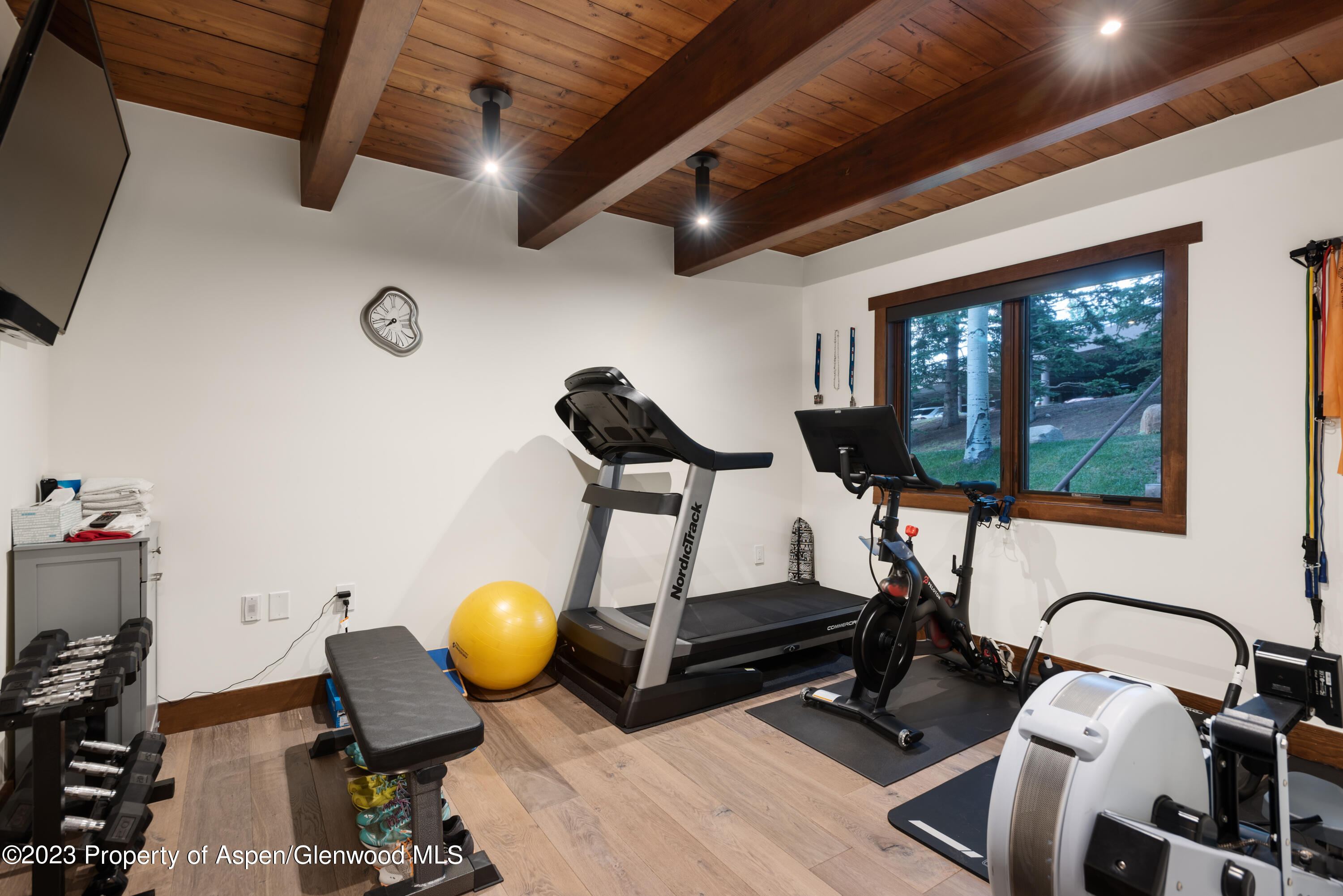 229 Faraway Road Snowmass Village CO 81615