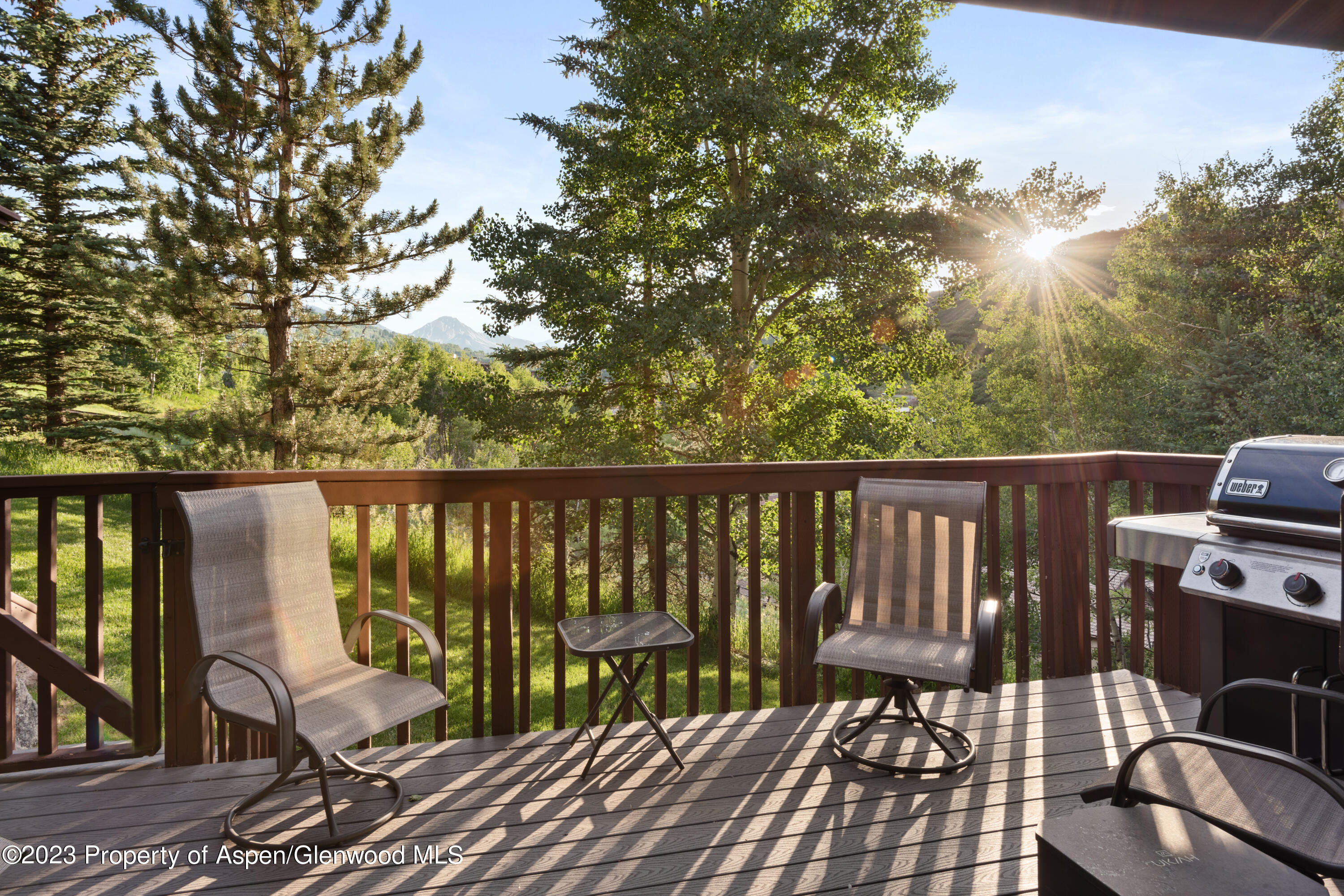 229 Faraway Road Snowmass Village CO 81615