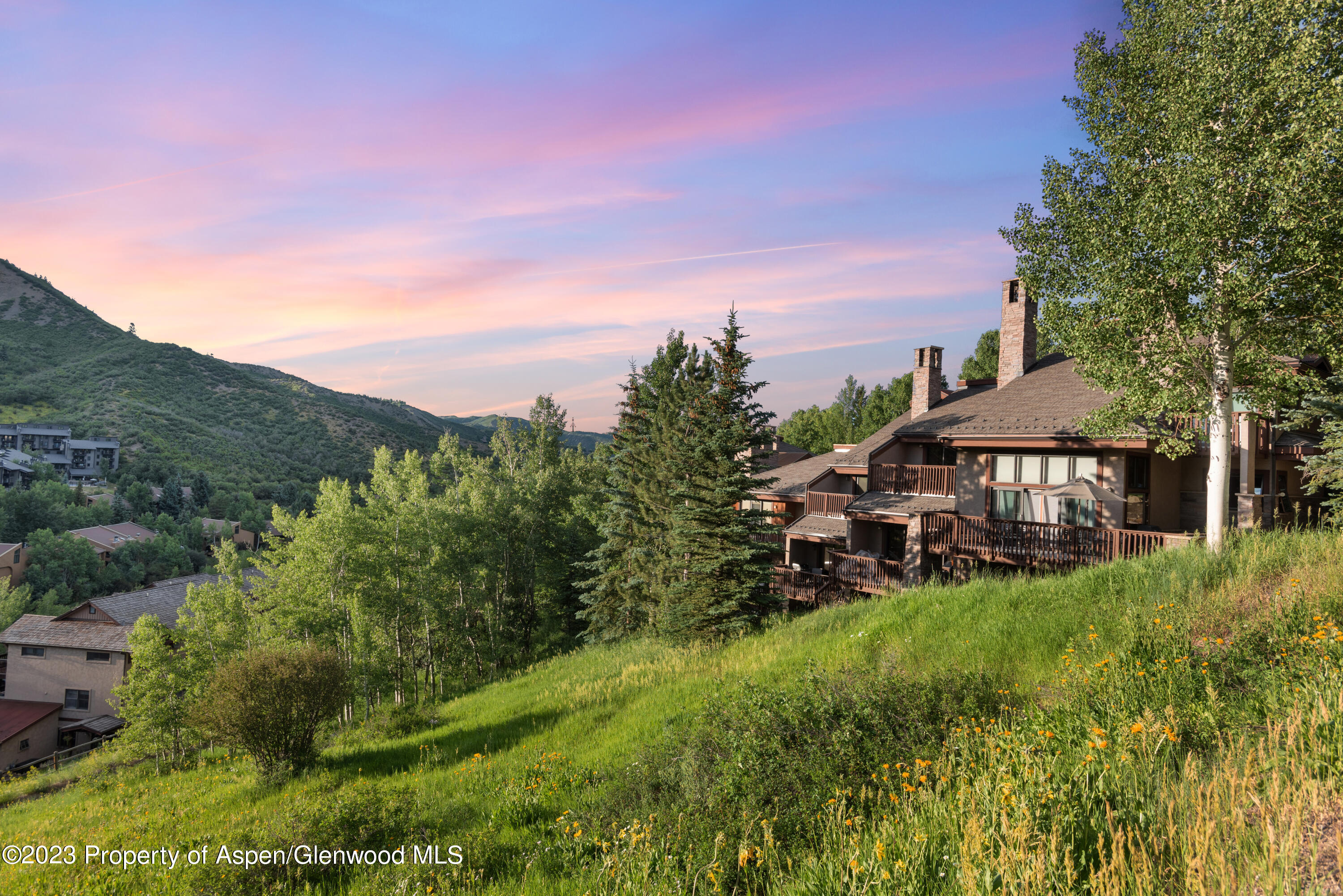 229 Faraway Road Snowmass Village CO 81615