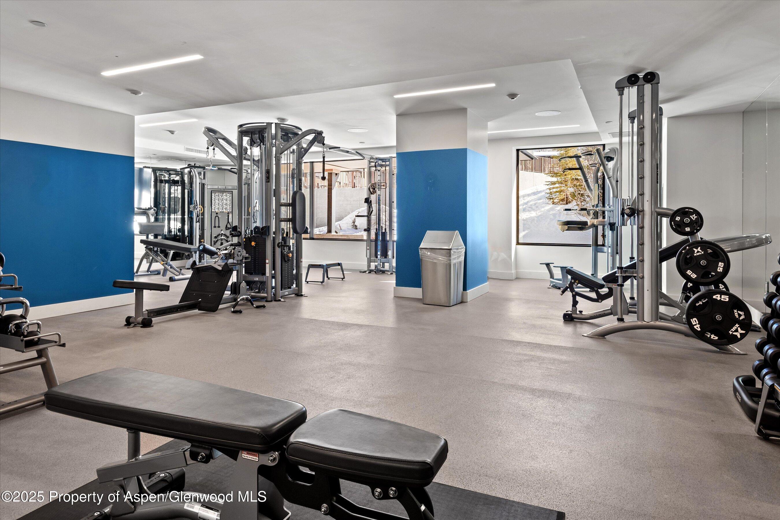 77 Wood Road Snowmass Village CO 81615