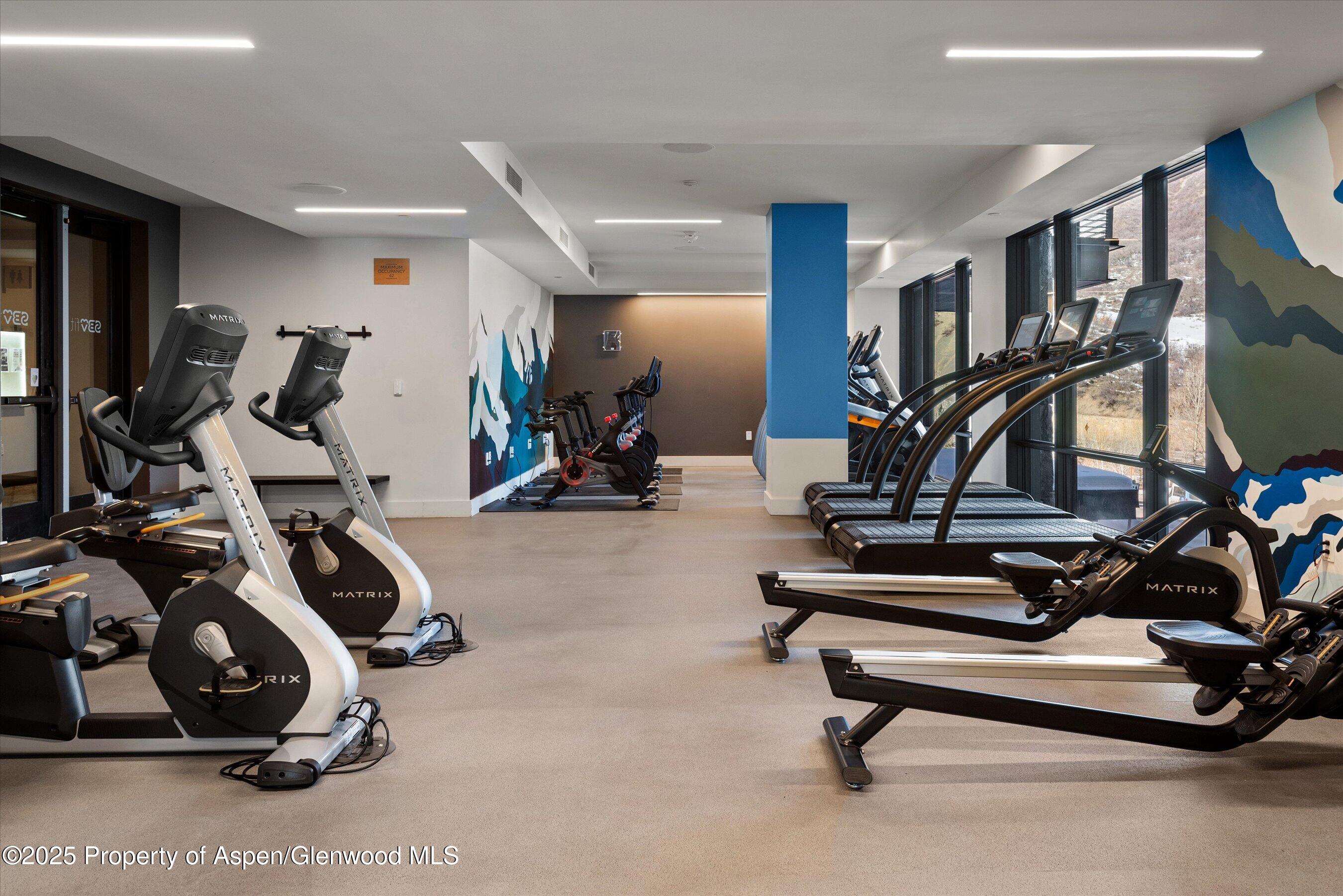 77 Wood Road Snowmass Village CO 81615