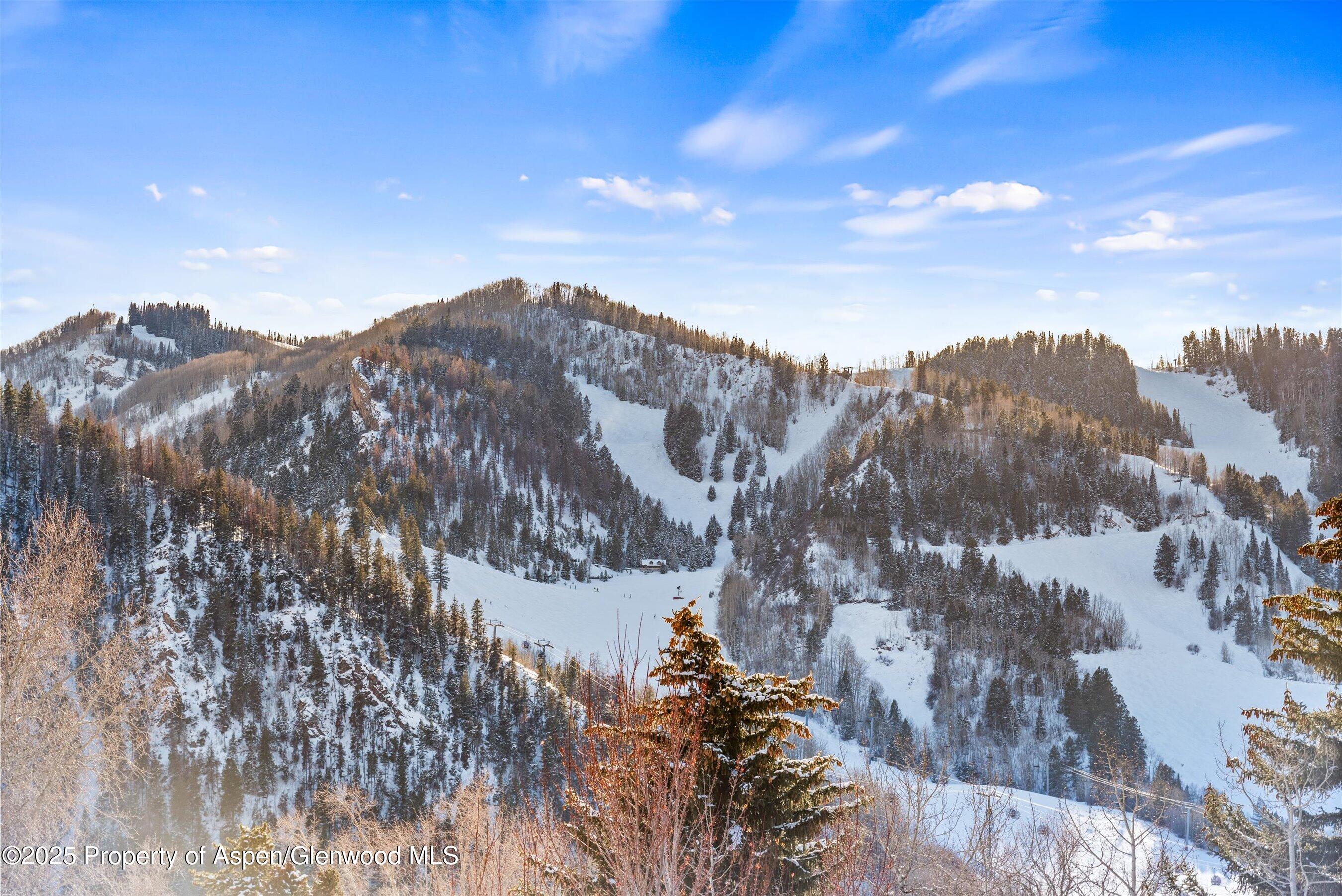 Aspen CO, 990 E Hopkins Avenue