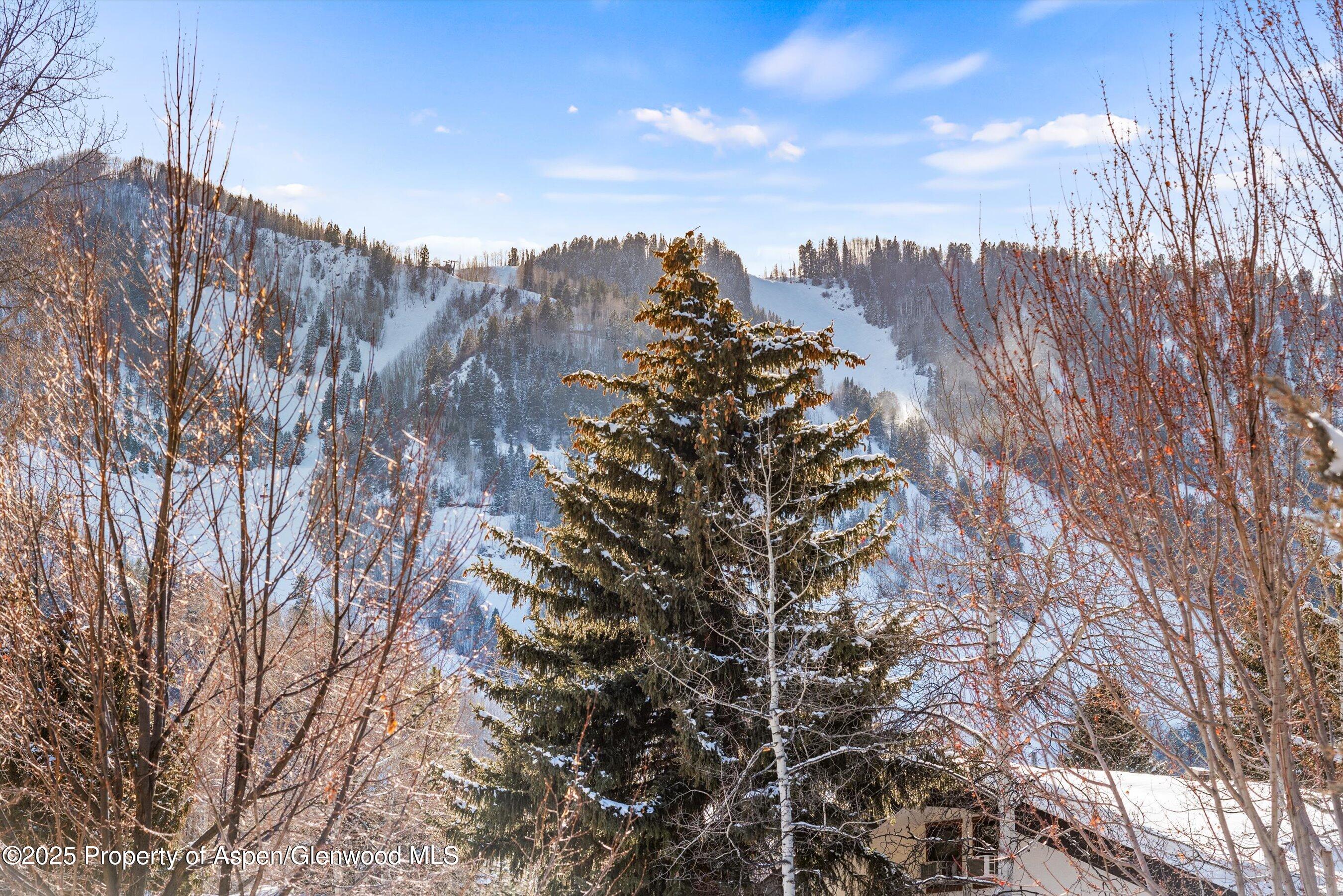 990 E Hopkins Avenue Aspen CO 81611