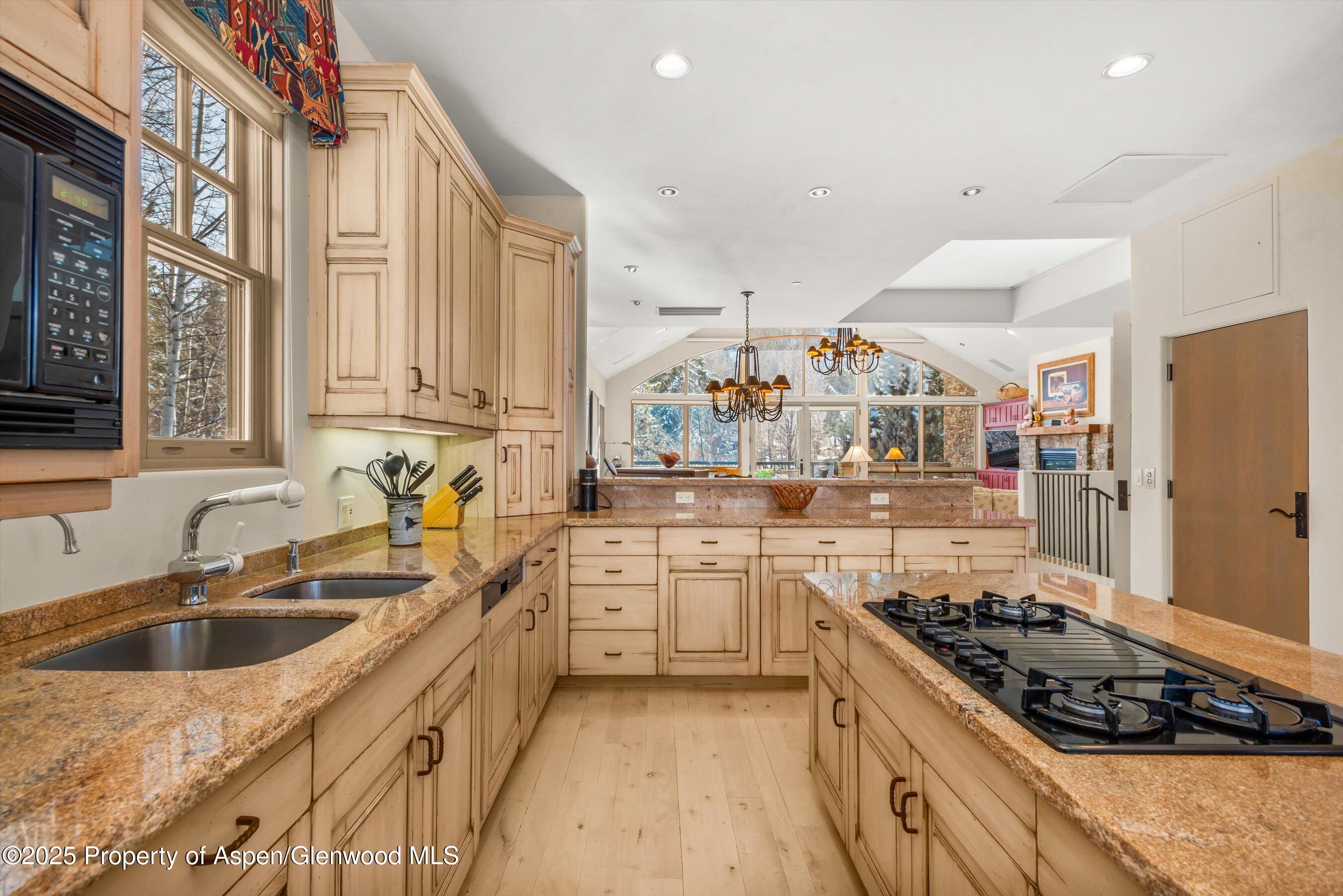 990 E Hopkins Avenue Aspen CO 81611