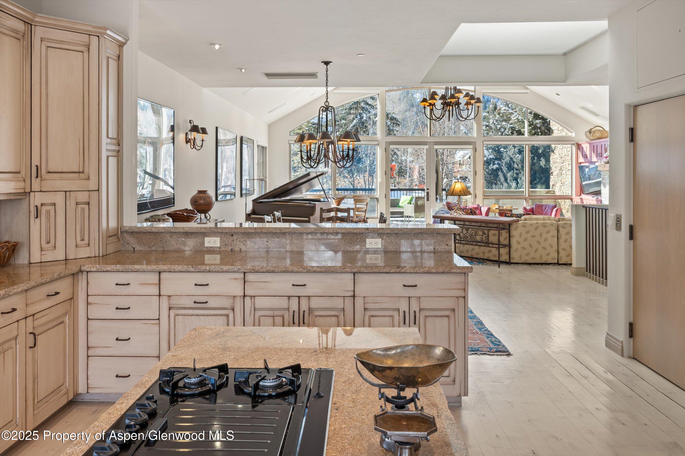 990 E Hopkins Avenue Aspen CO 81611