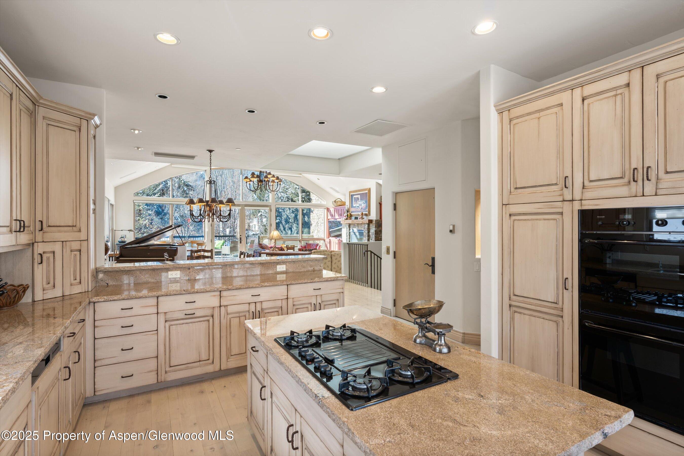 990 E Hopkins Avenue Aspen CO 81611