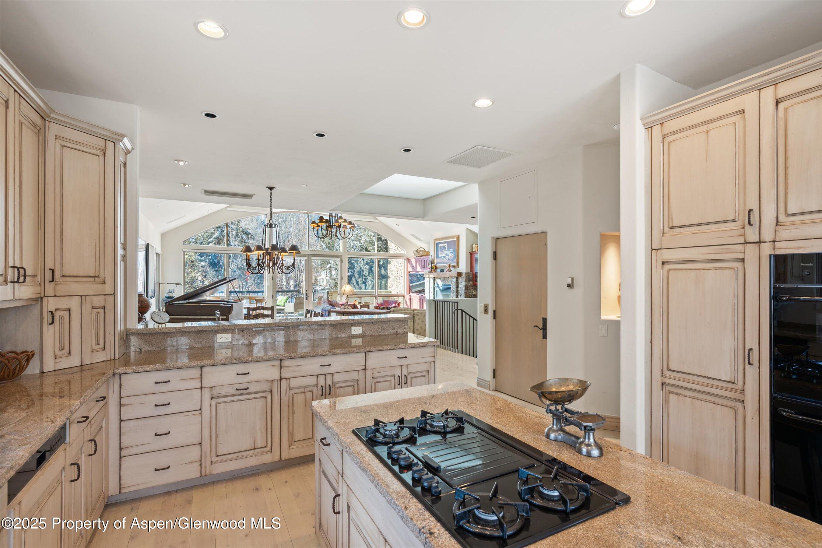 990 E Hopkins Avenue Aspen CO 81611