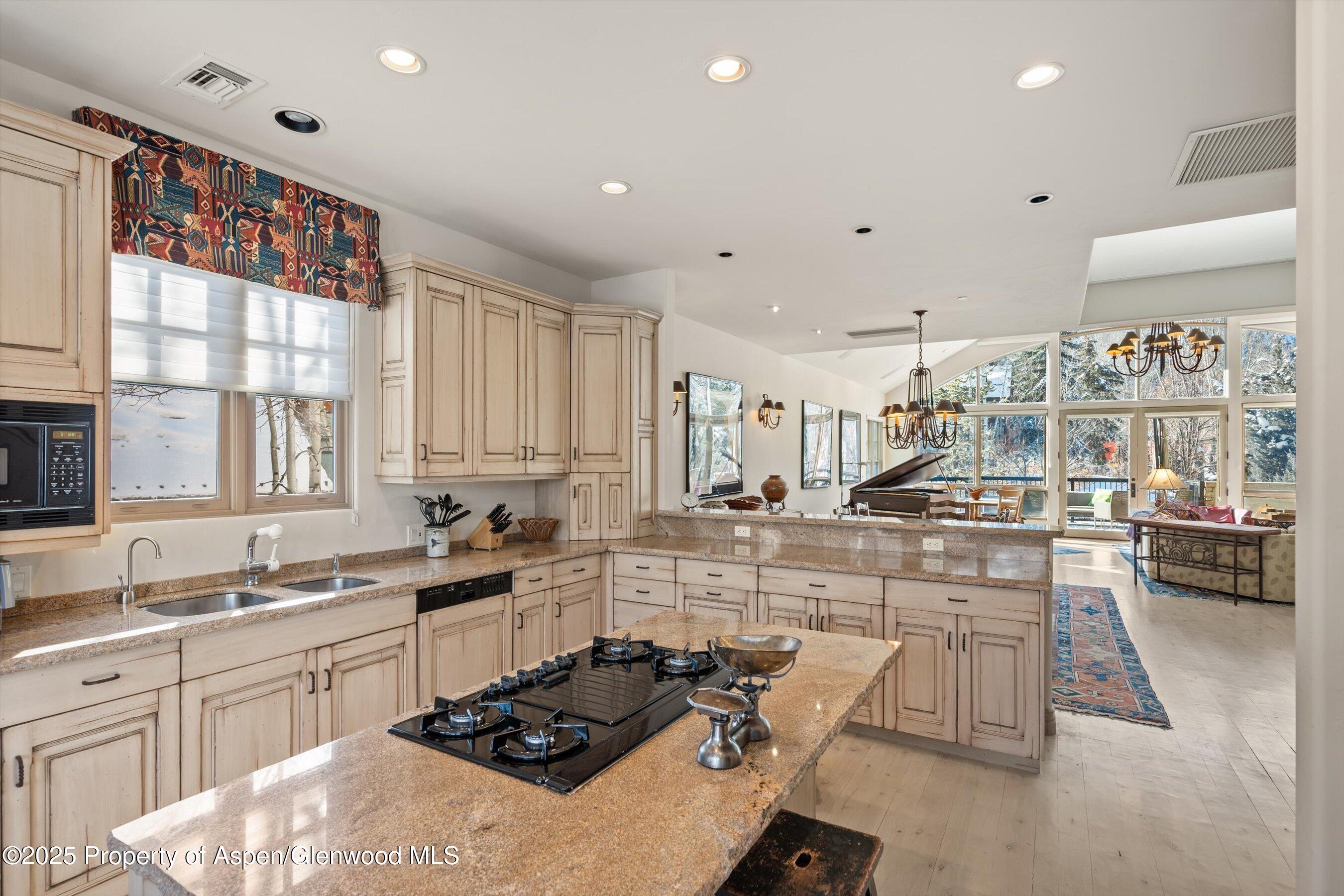 990 E Hopkins Avenue Aspen CO 81611