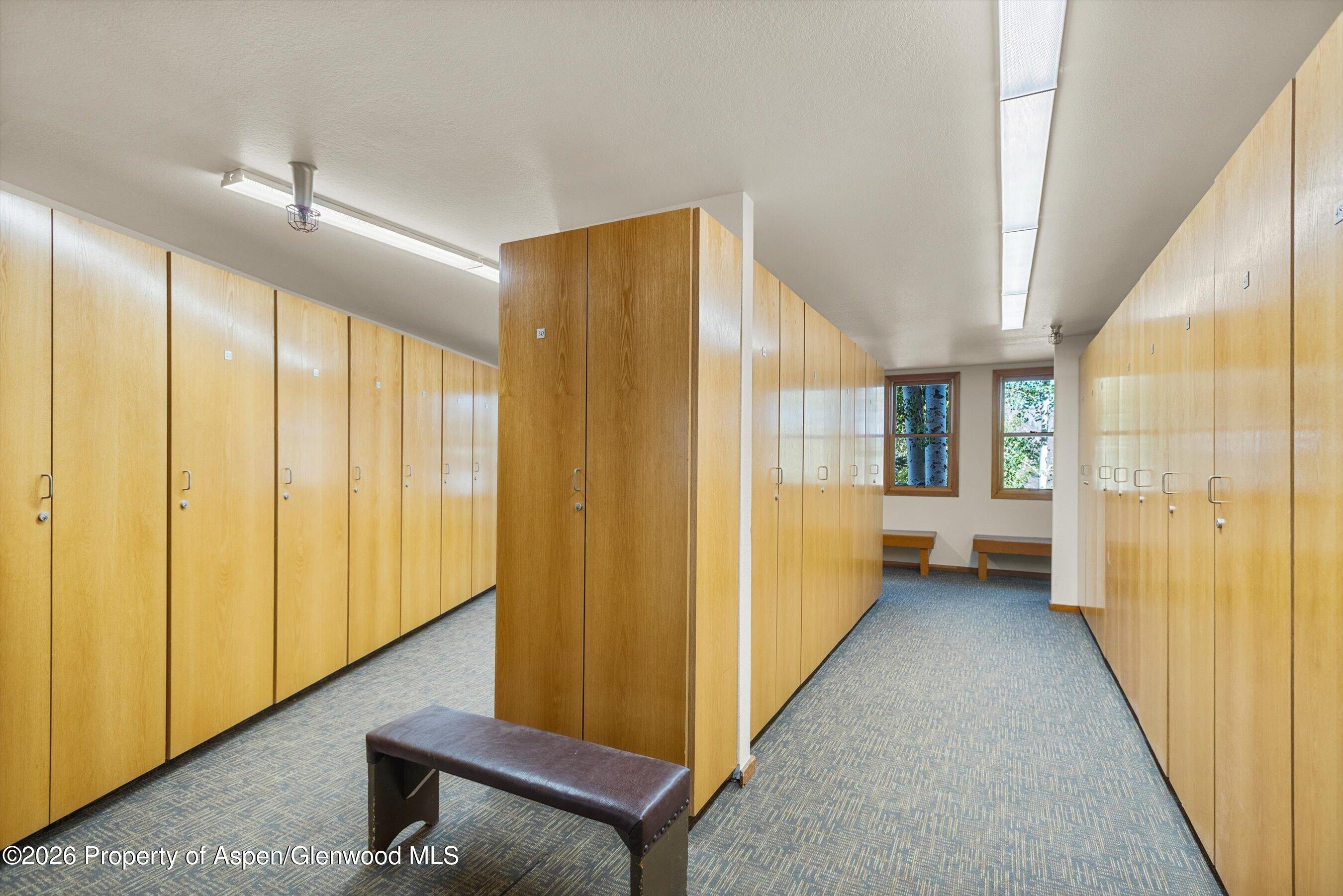 425 Wood Road Snowmass Village CO 81615