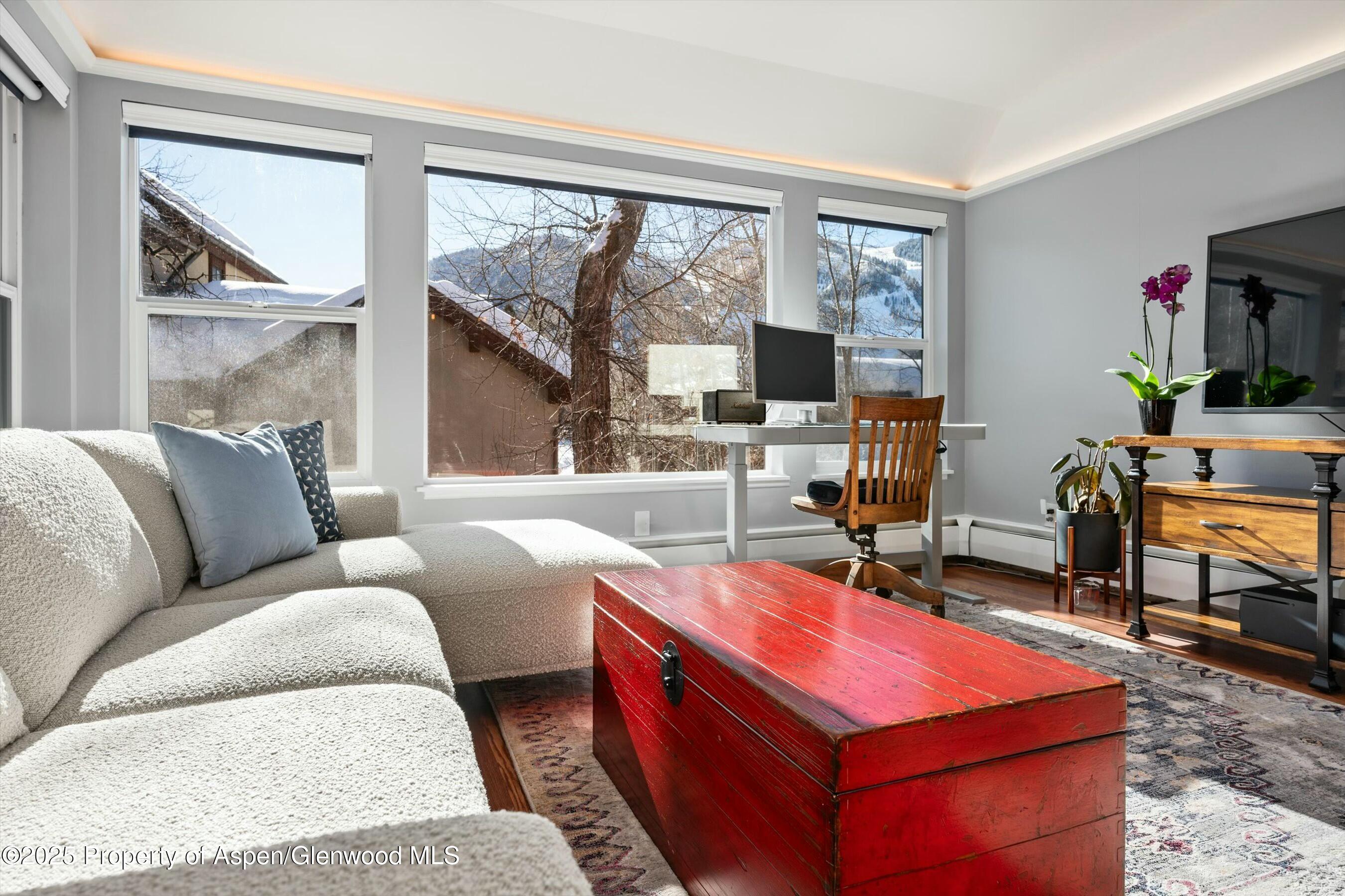 1047 Vine Street Aspen CO 81611