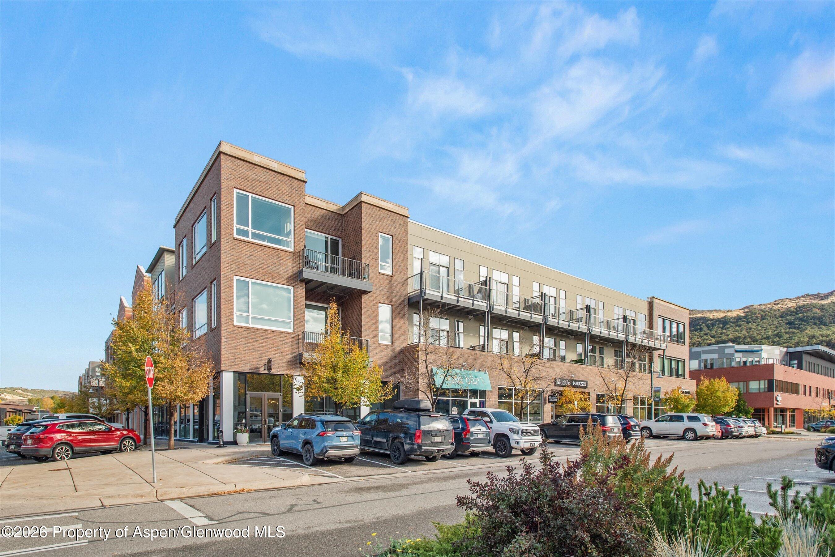361 Robinson Street Basalt CO 81621