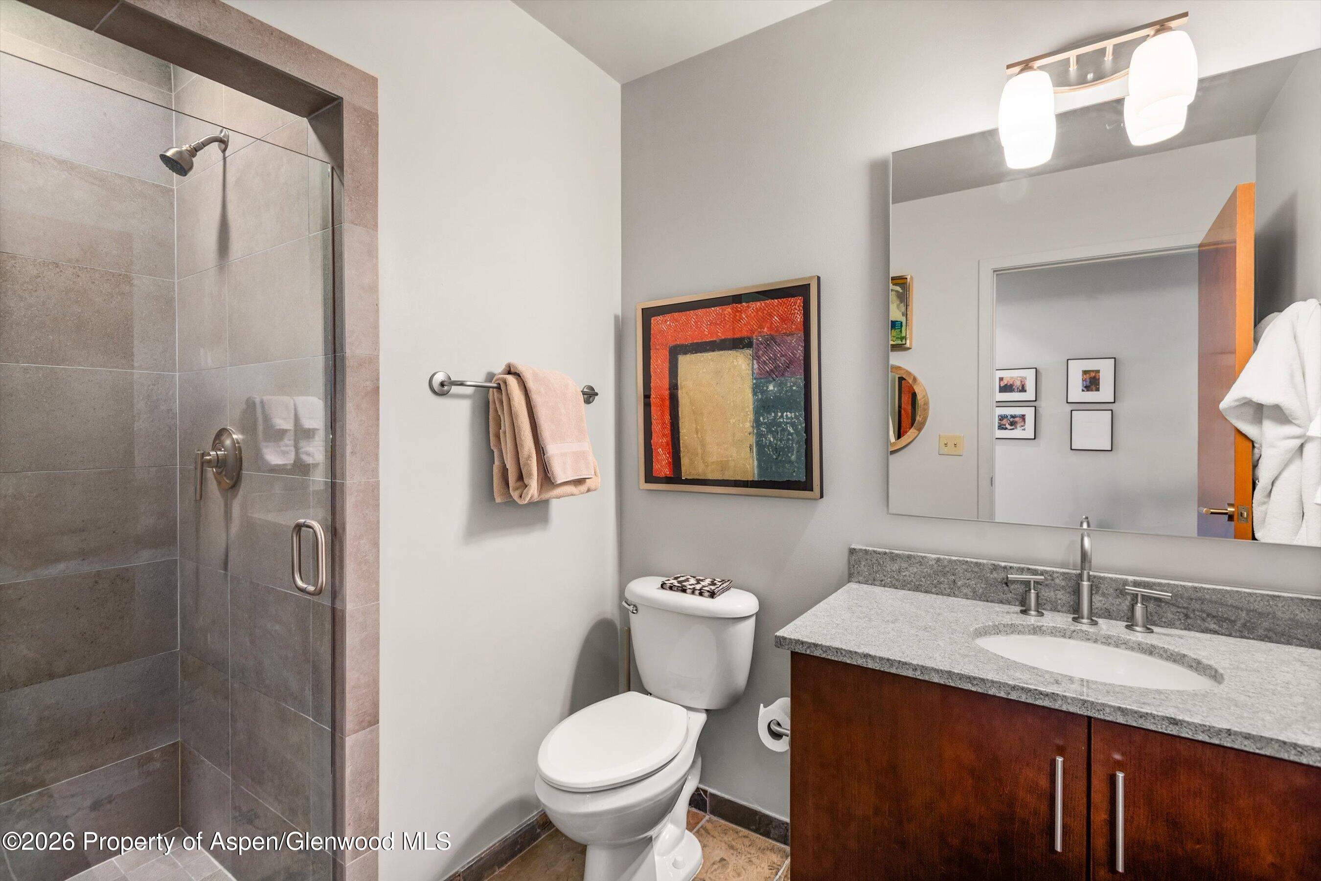 361 Robinson Street Basalt CO 81621