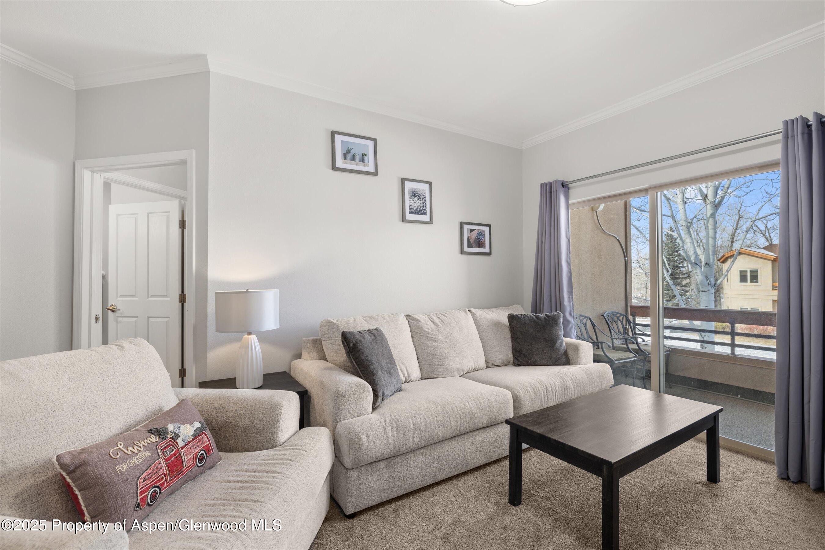 1400 E Valley Road Basalt CO 81621