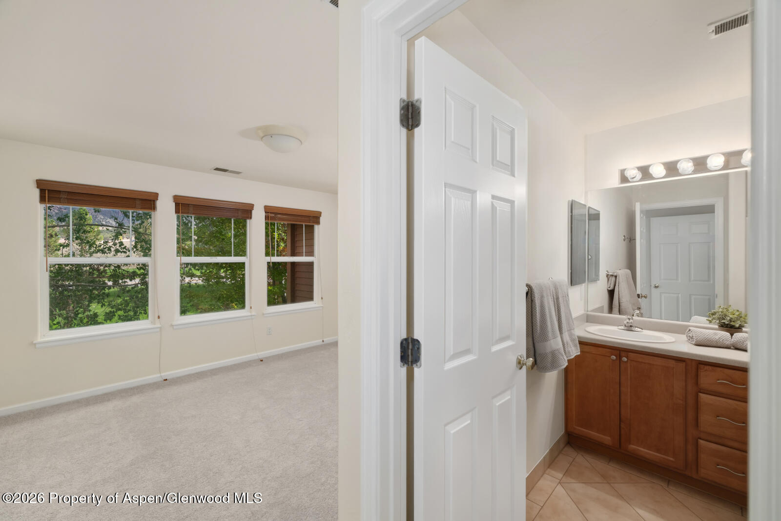122 W Cathedral Court New Castle CO 81647