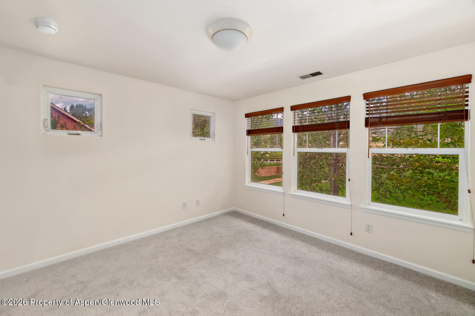 122 W Cathedral Court New Castle CO 81647
