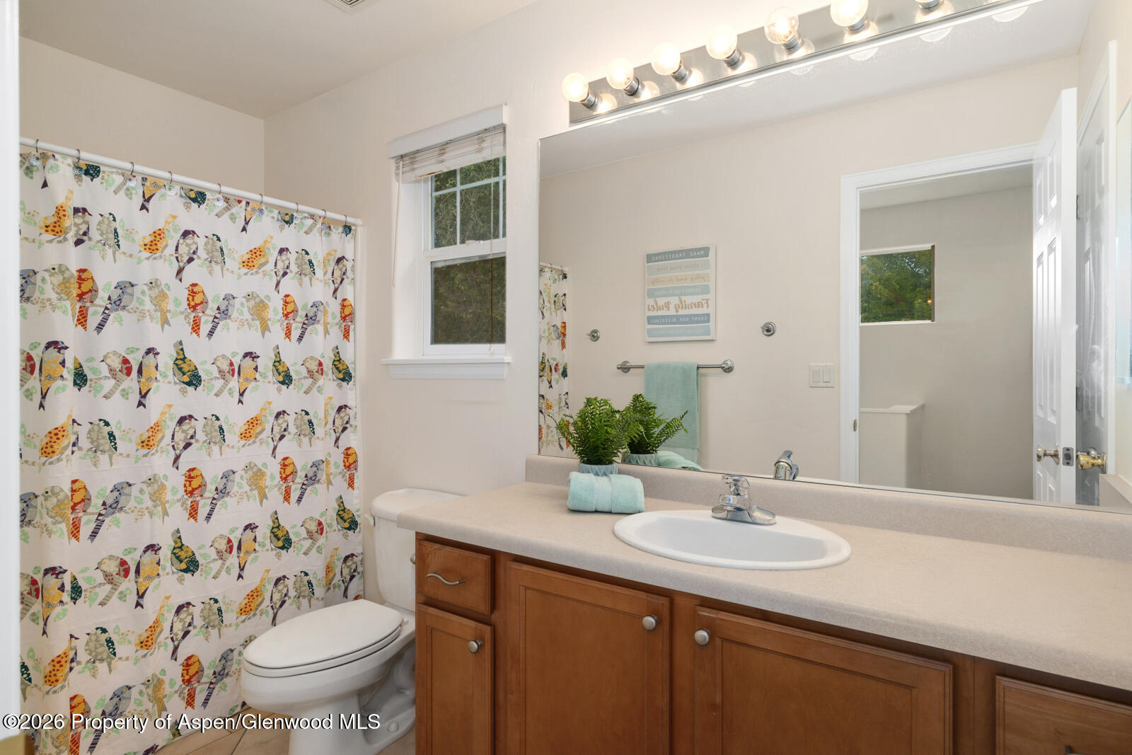 122 W Cathedral Court New Castle CO 81647