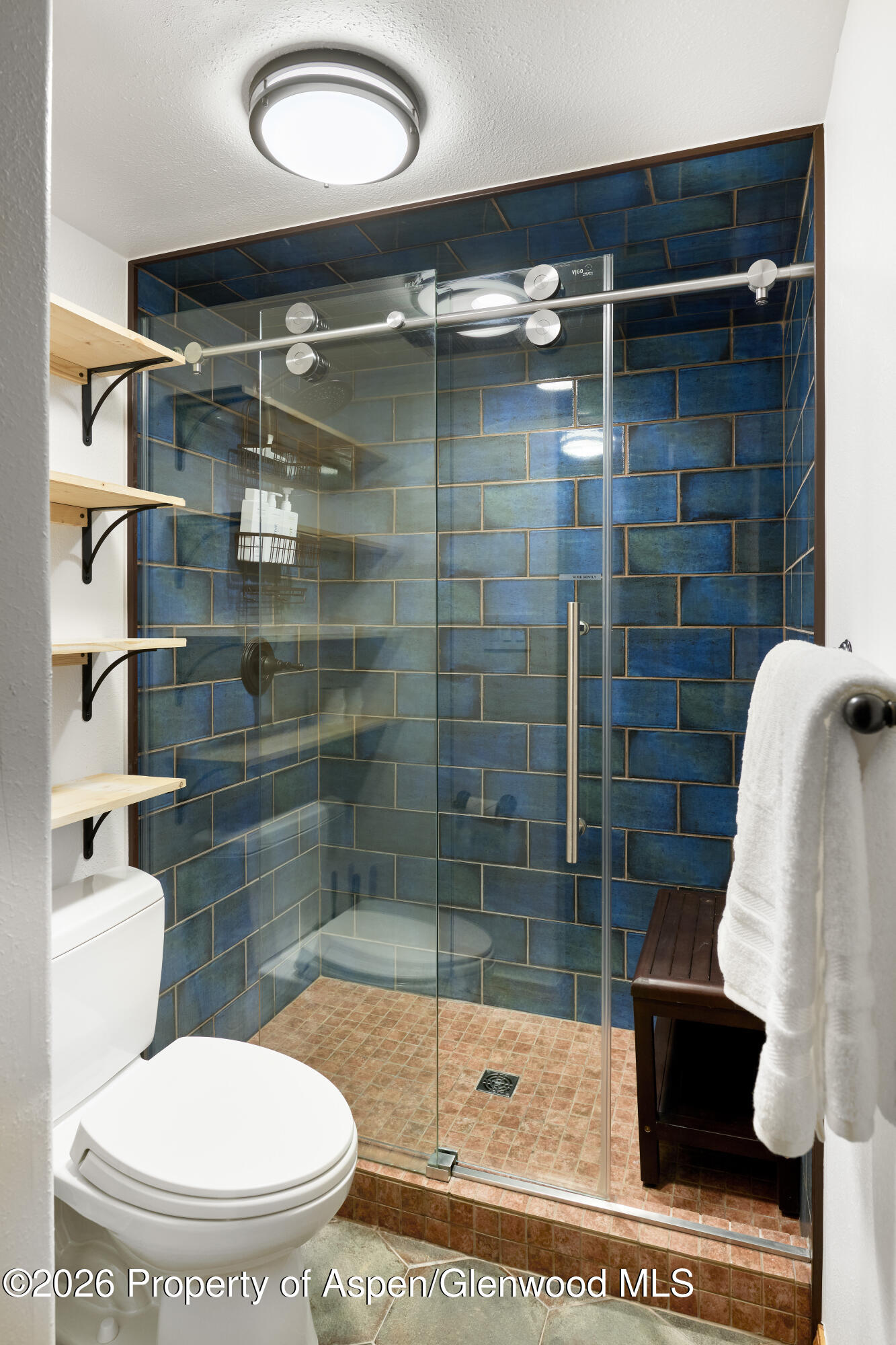 600 Carriage Way Snowmass Village CO 81615