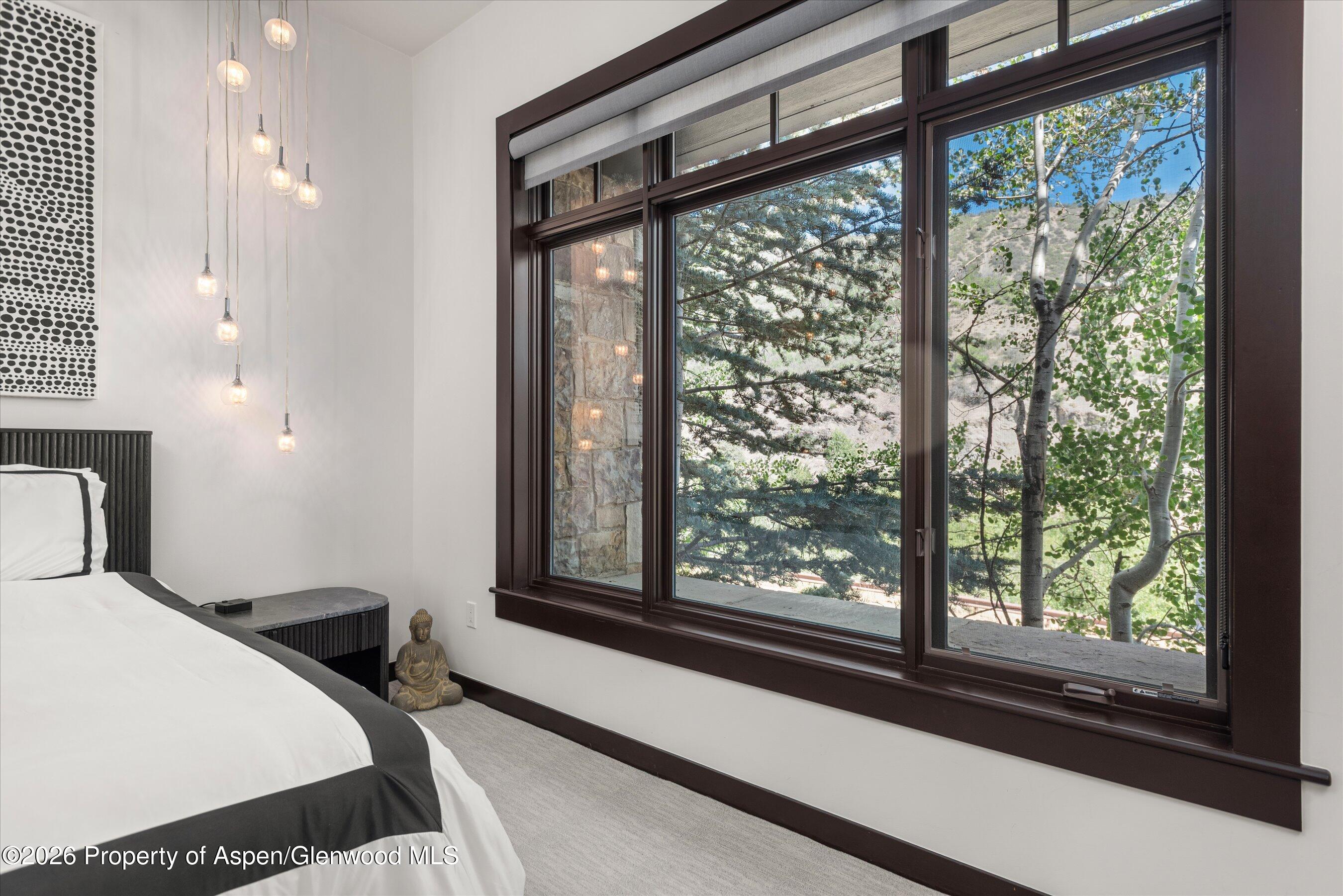 60 Carriage Way Snowmass Village CO 81615