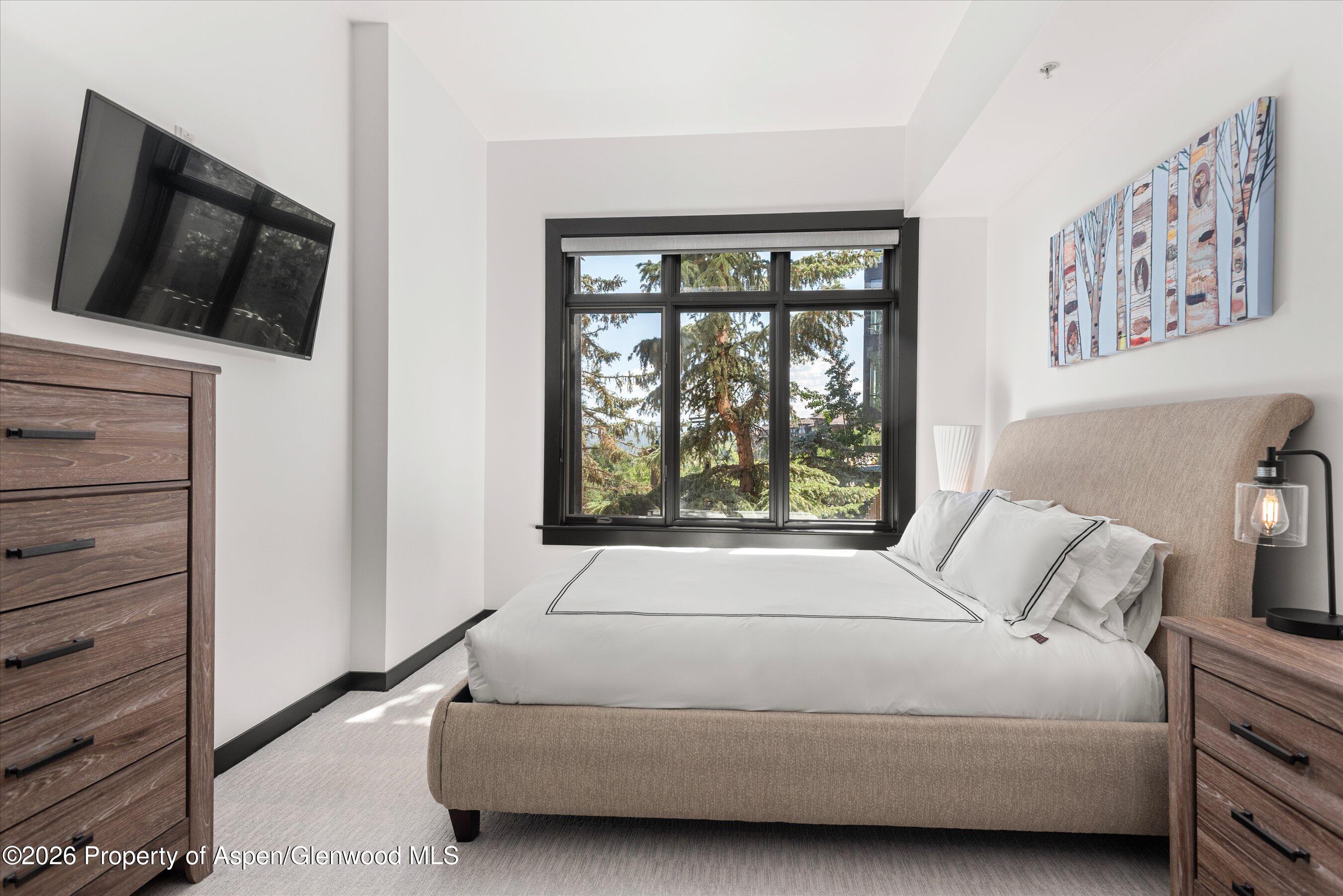 60 Carriage Way Snowmass Village CO 81615