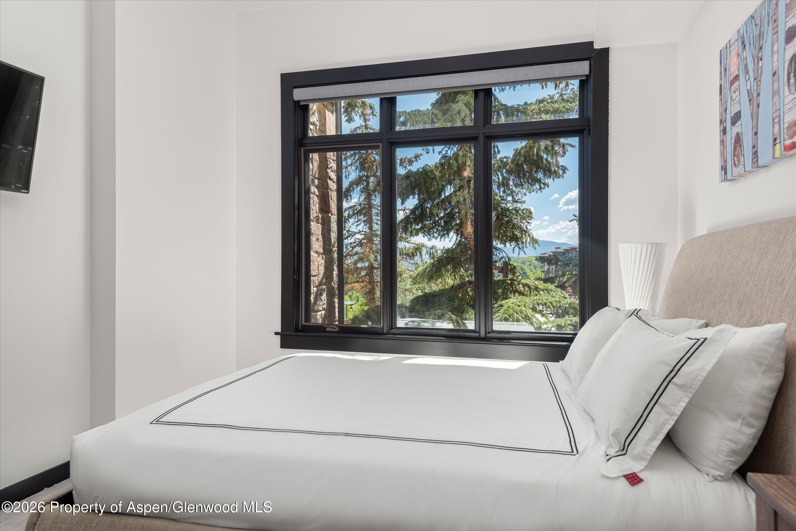 60 Carriage Way Snowmass Village CO 81615