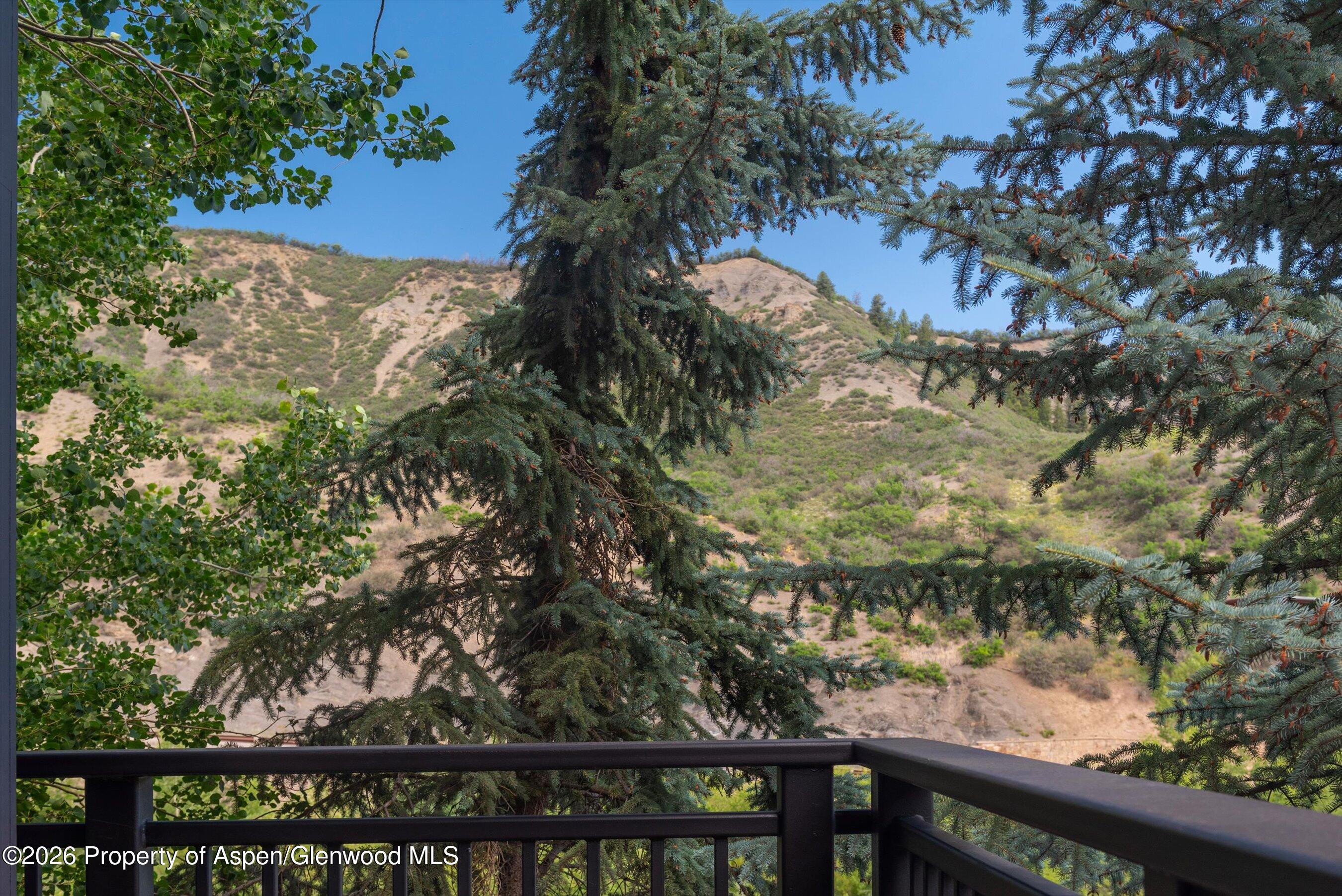 60 Carriage Way Snowmass Village CO 81615