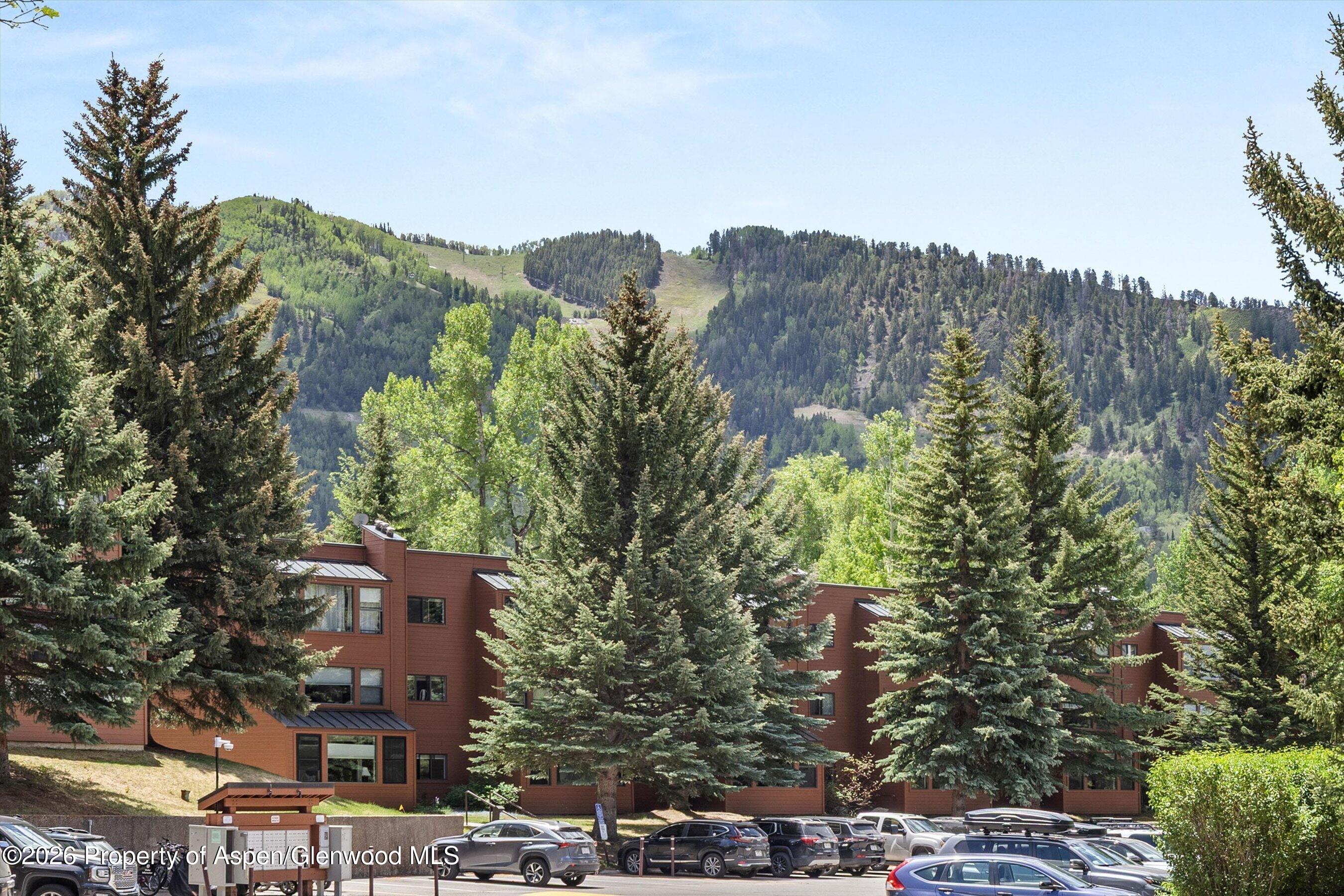 941 Vine Street Aspen CO 81611