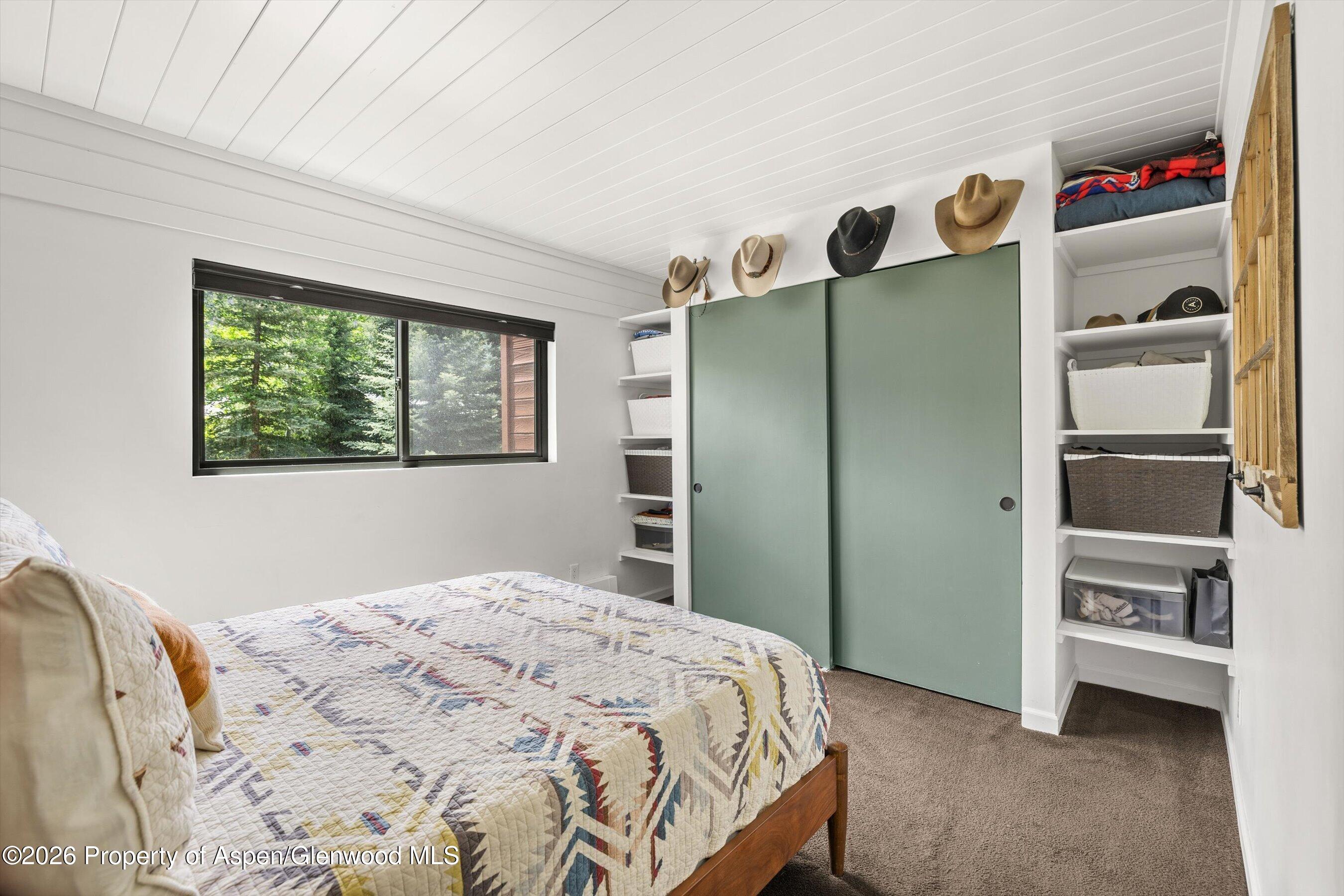 941 Vine Street Aspen CO 81611