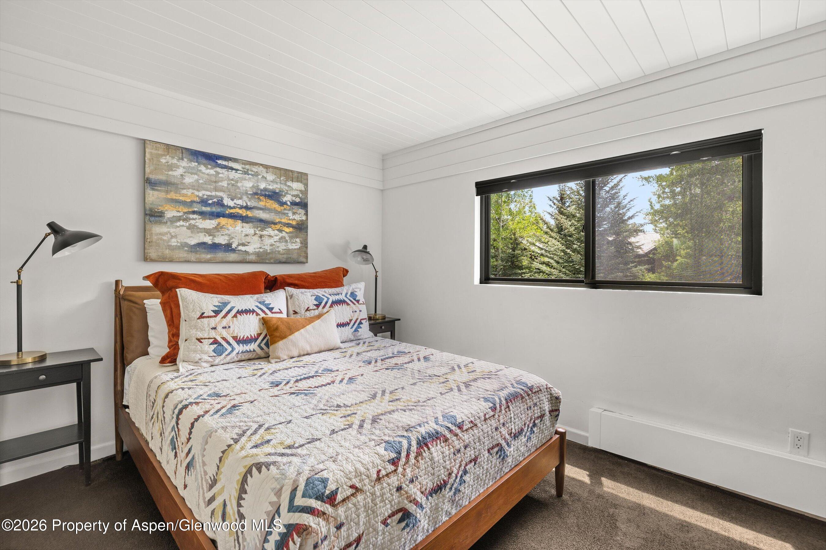 941 Vine Street Aspen CO 81611