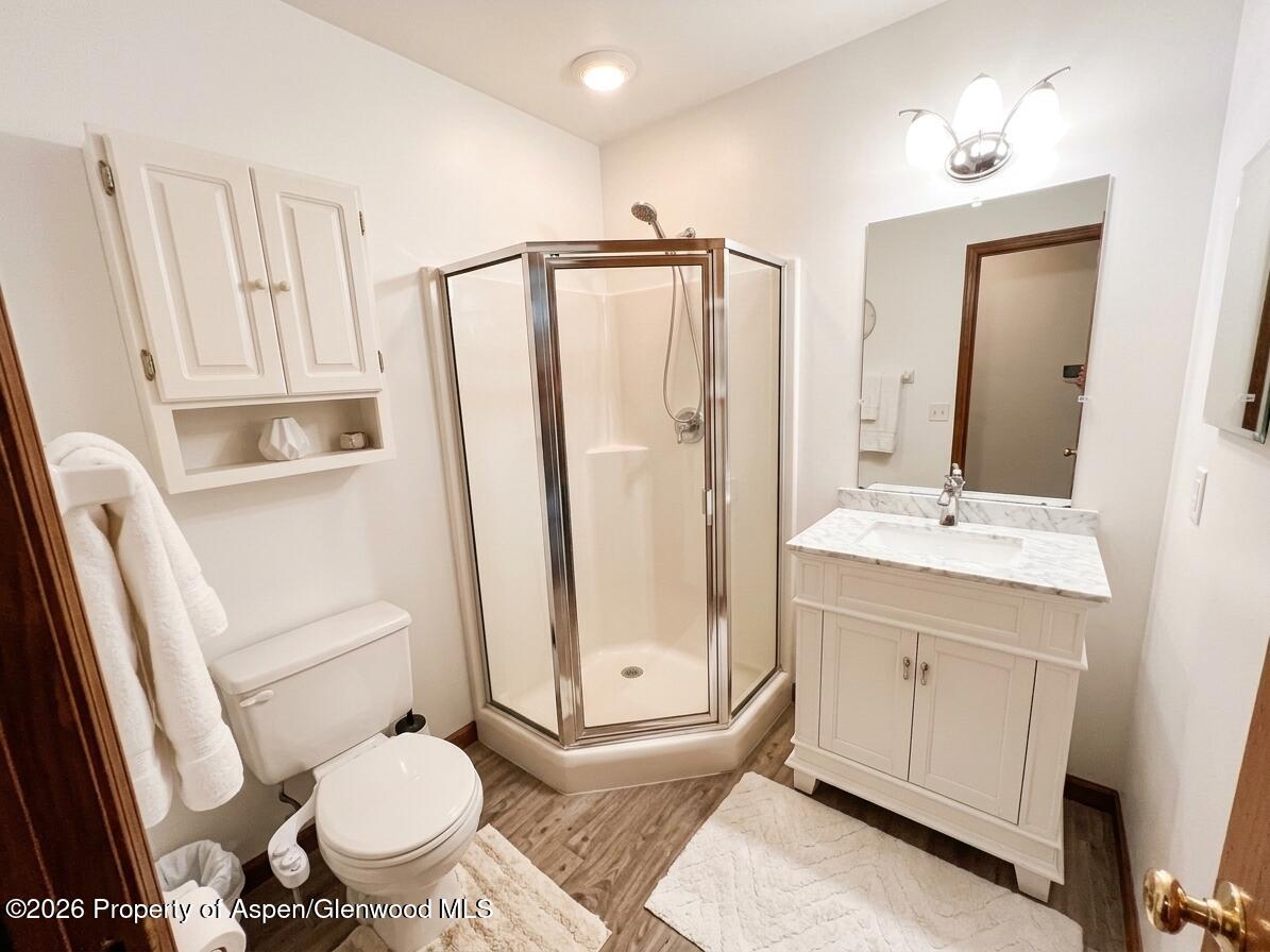 1142 Vito's Way Carbondale CO 81623