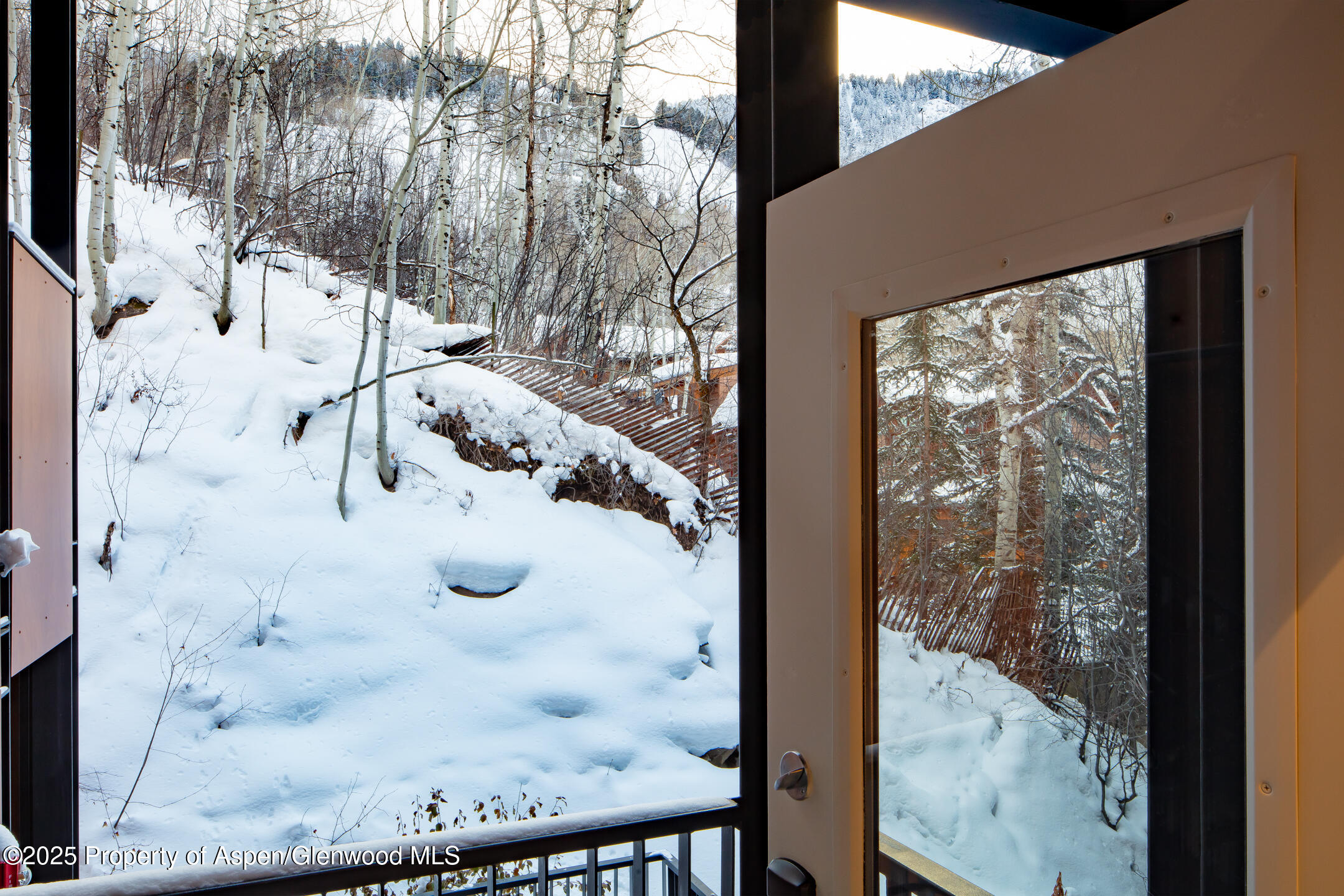 800 S Mill Street Aspen CO 81611