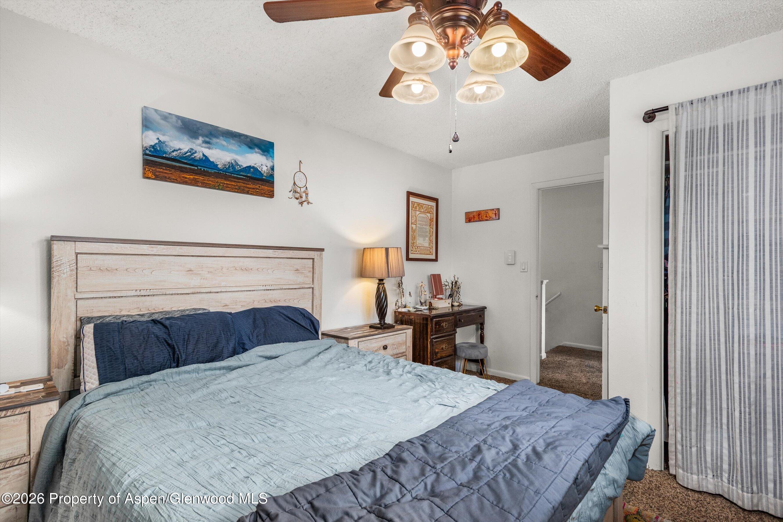 873 Colorado Avenue Carbondale CO 81623