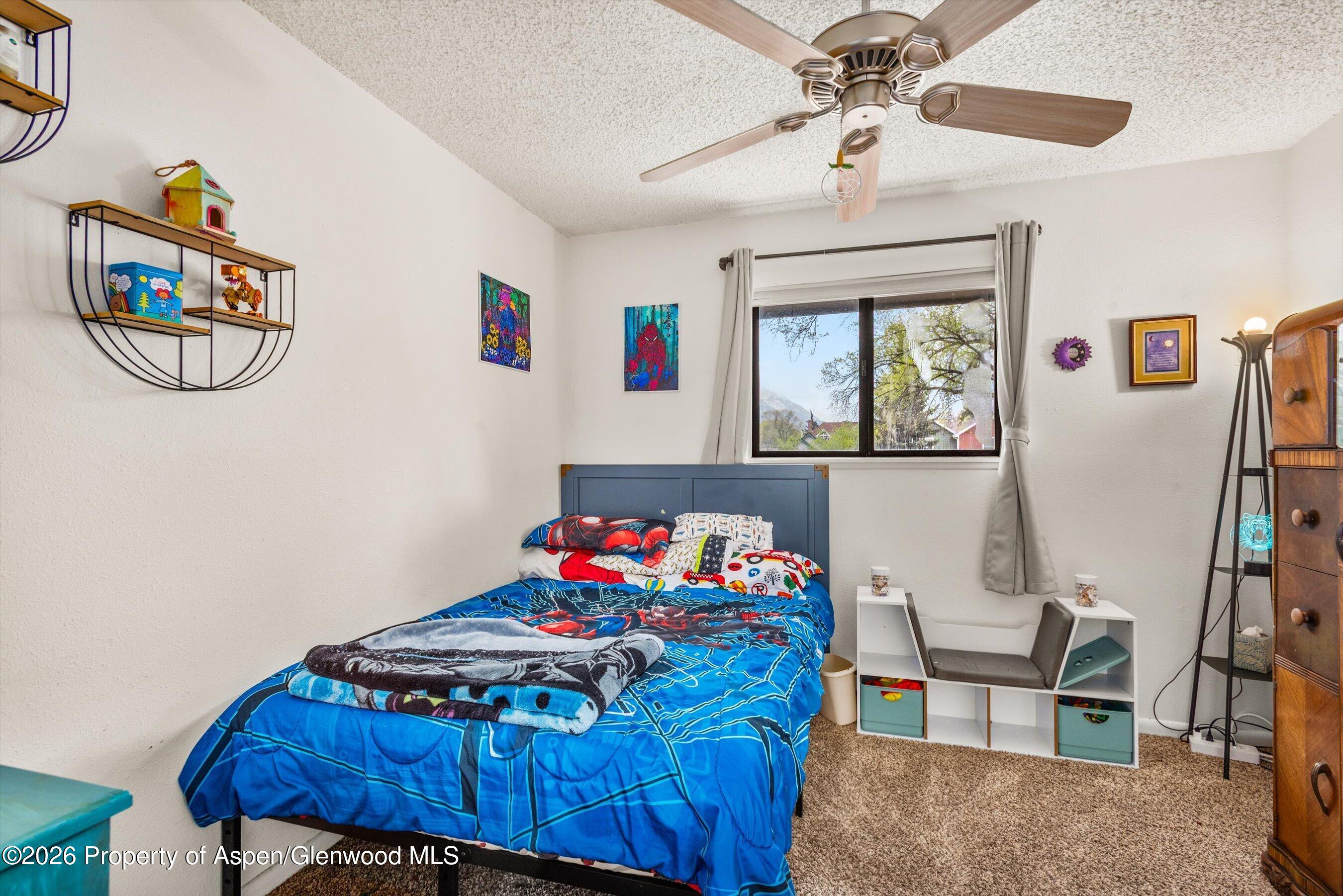 873 Colorado Avenue Carbondale CO 81623