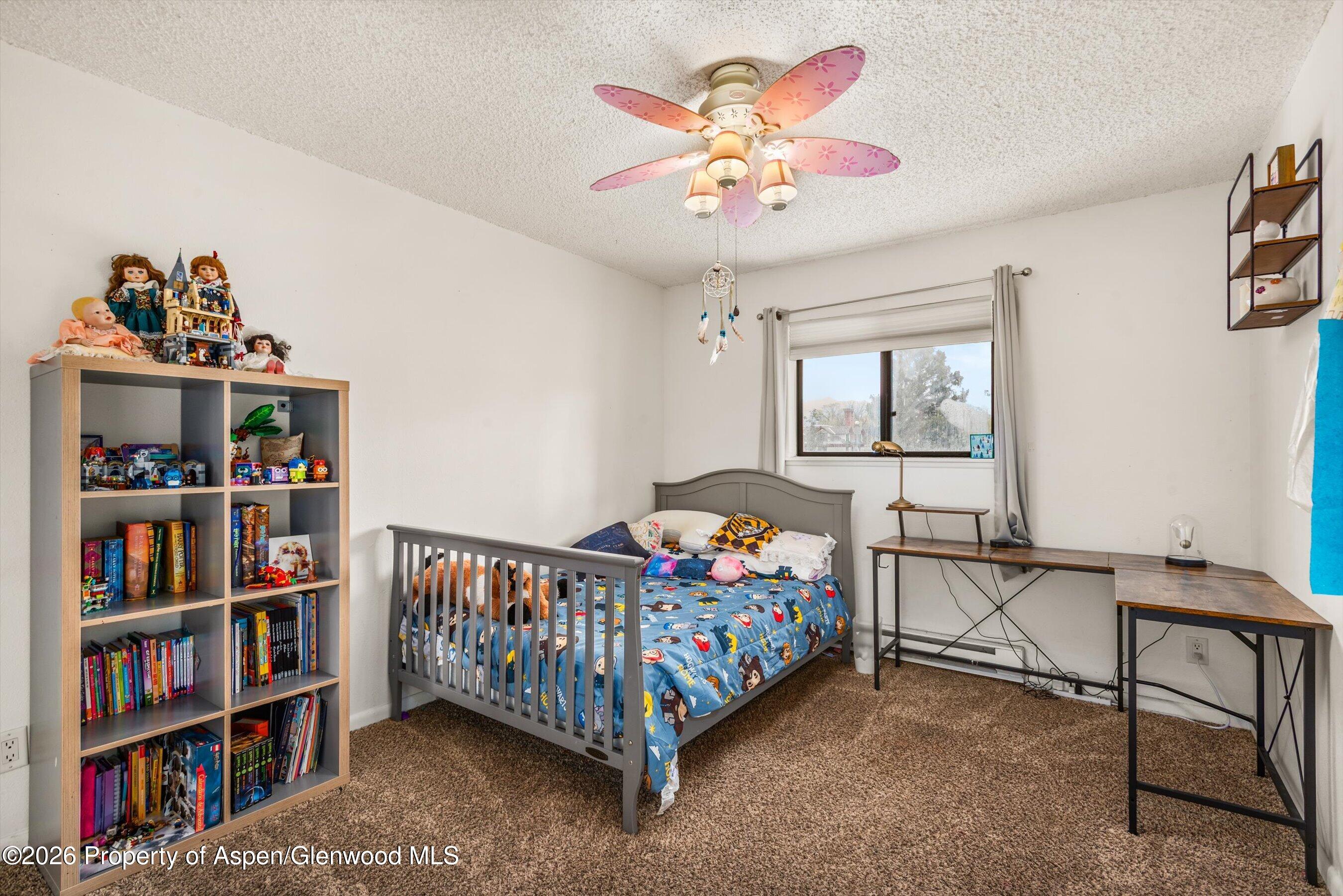 873 Colorado Avenue Carbondale CO 81623