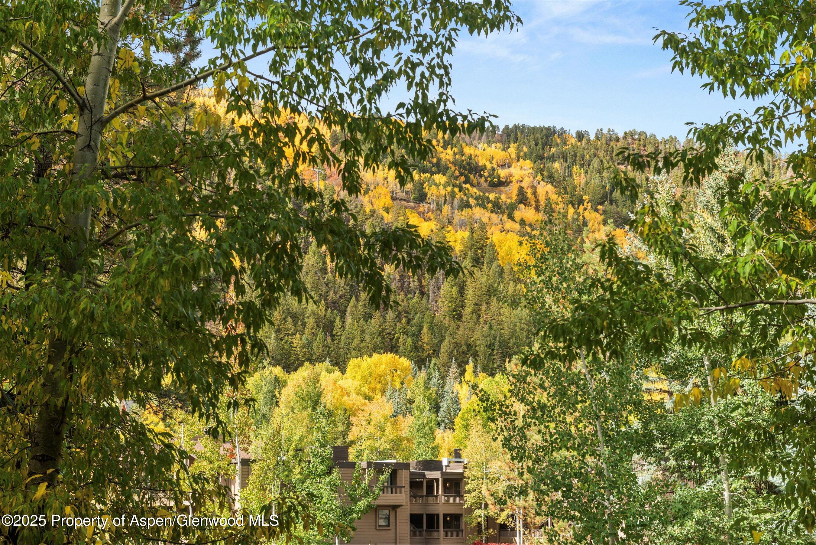 610 S West End Street Aspen CO 81611