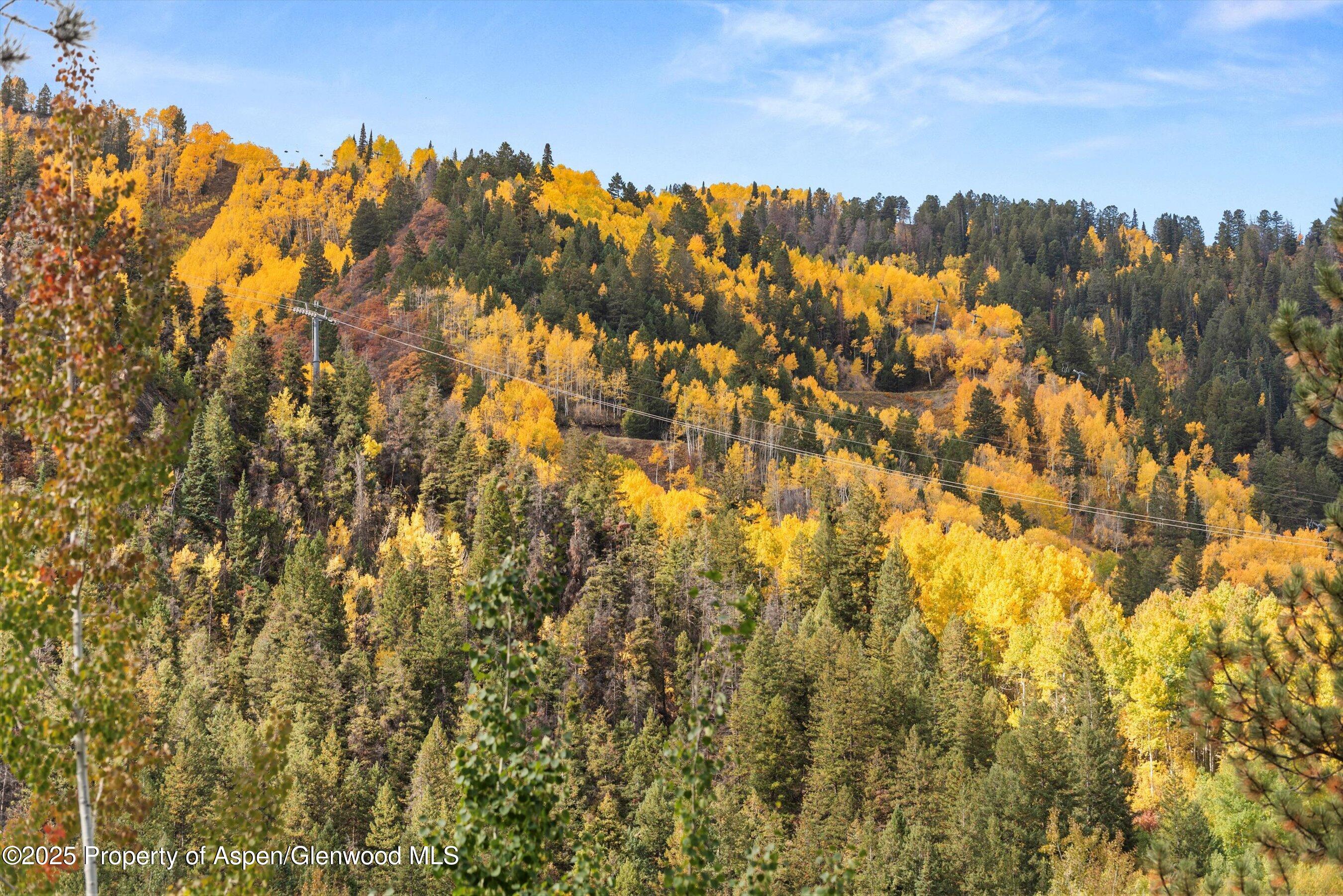 610 S West End Street Aspen CO 81611