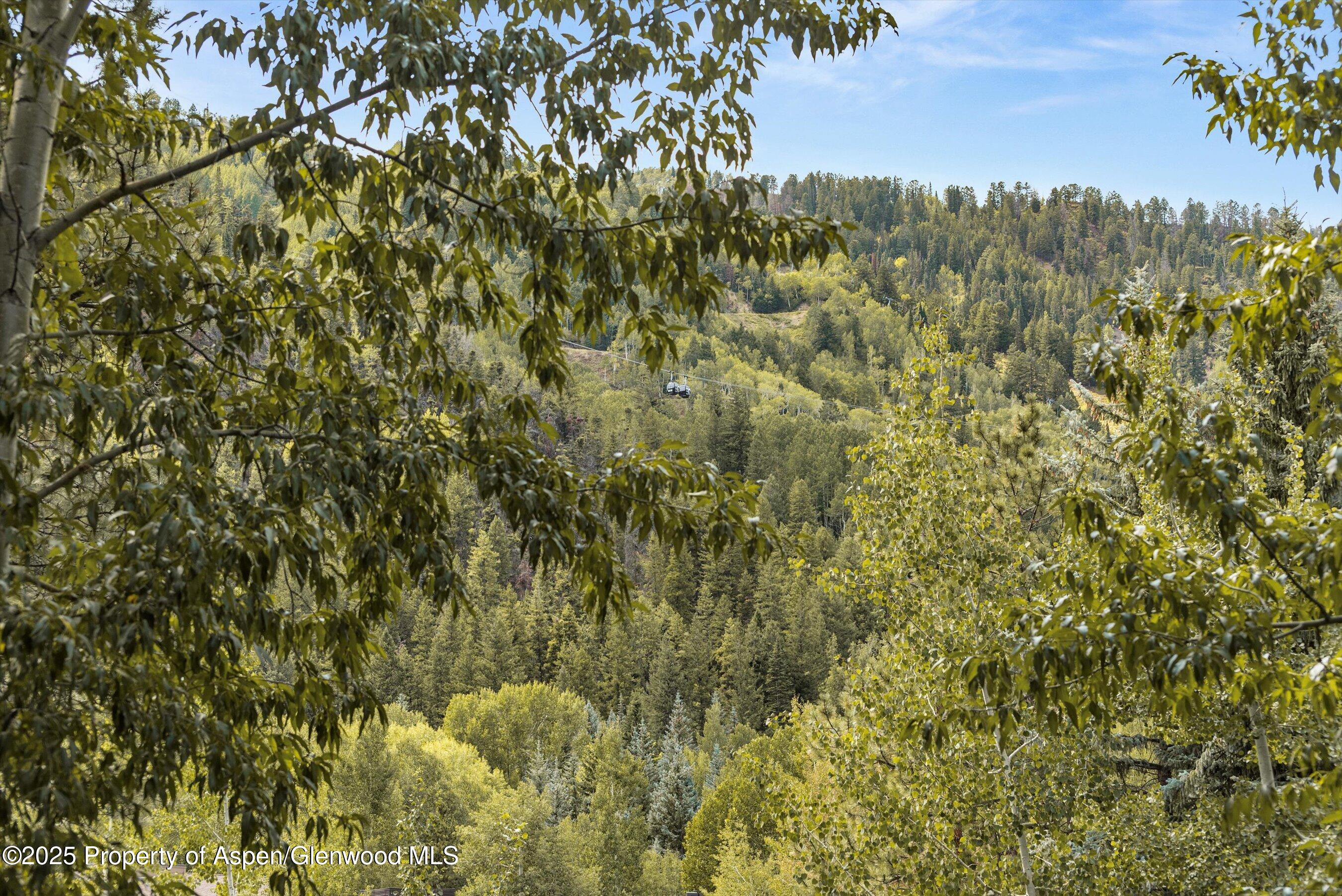 610 S West End Street Aspen CO 81611