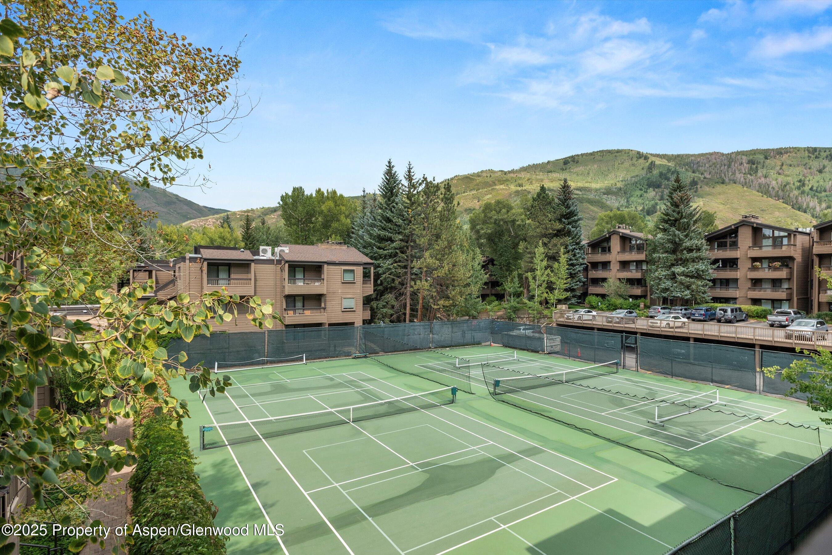 610 S West End Street Aspen CO 81611