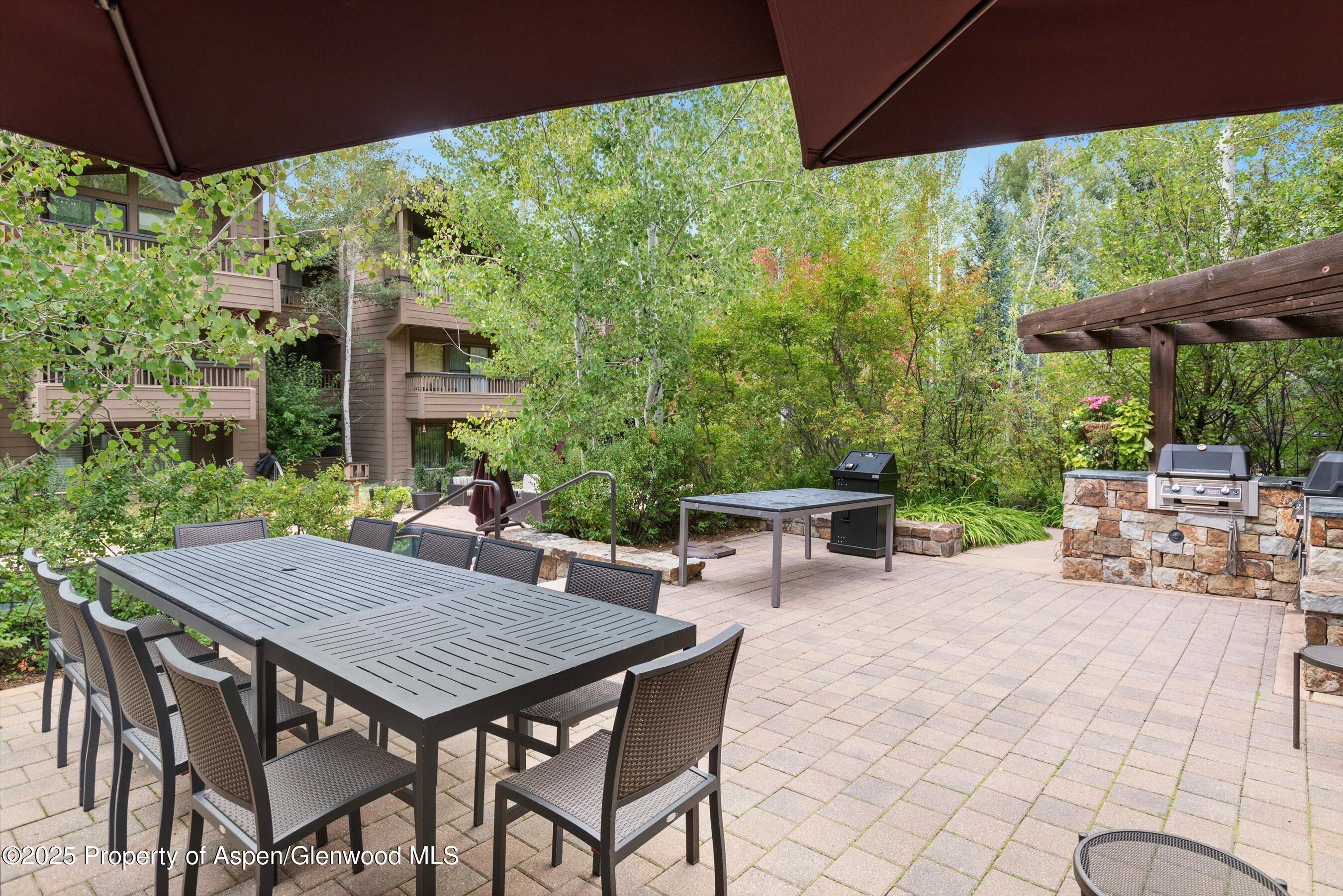 610 S West End Street Aspen CO 81611