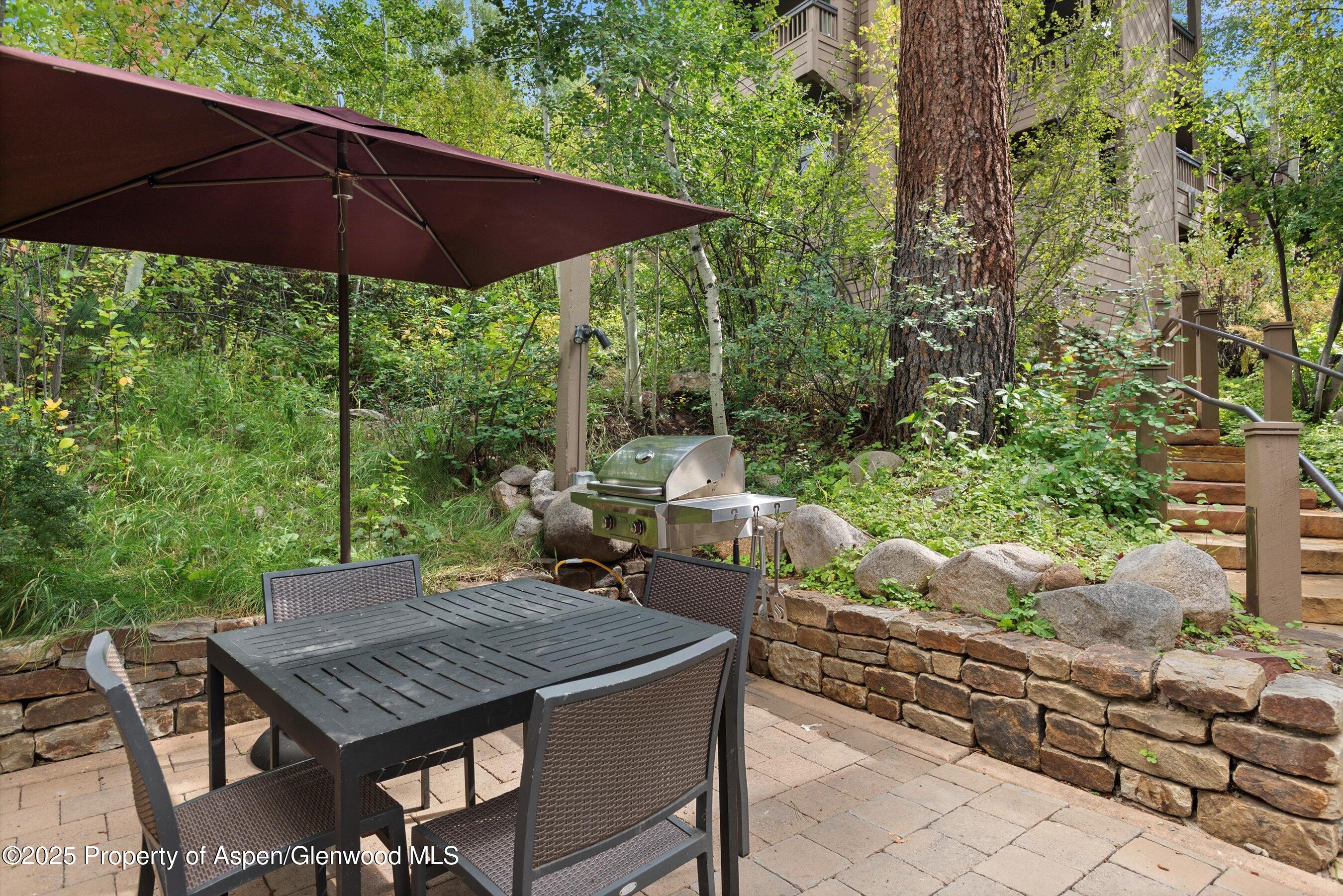 610 S West End Street Aspen CO 81611