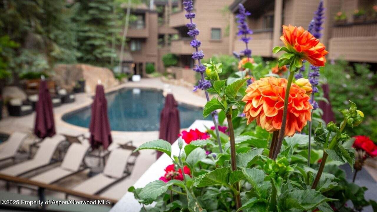 610 S West End Street Aspen CO 81611