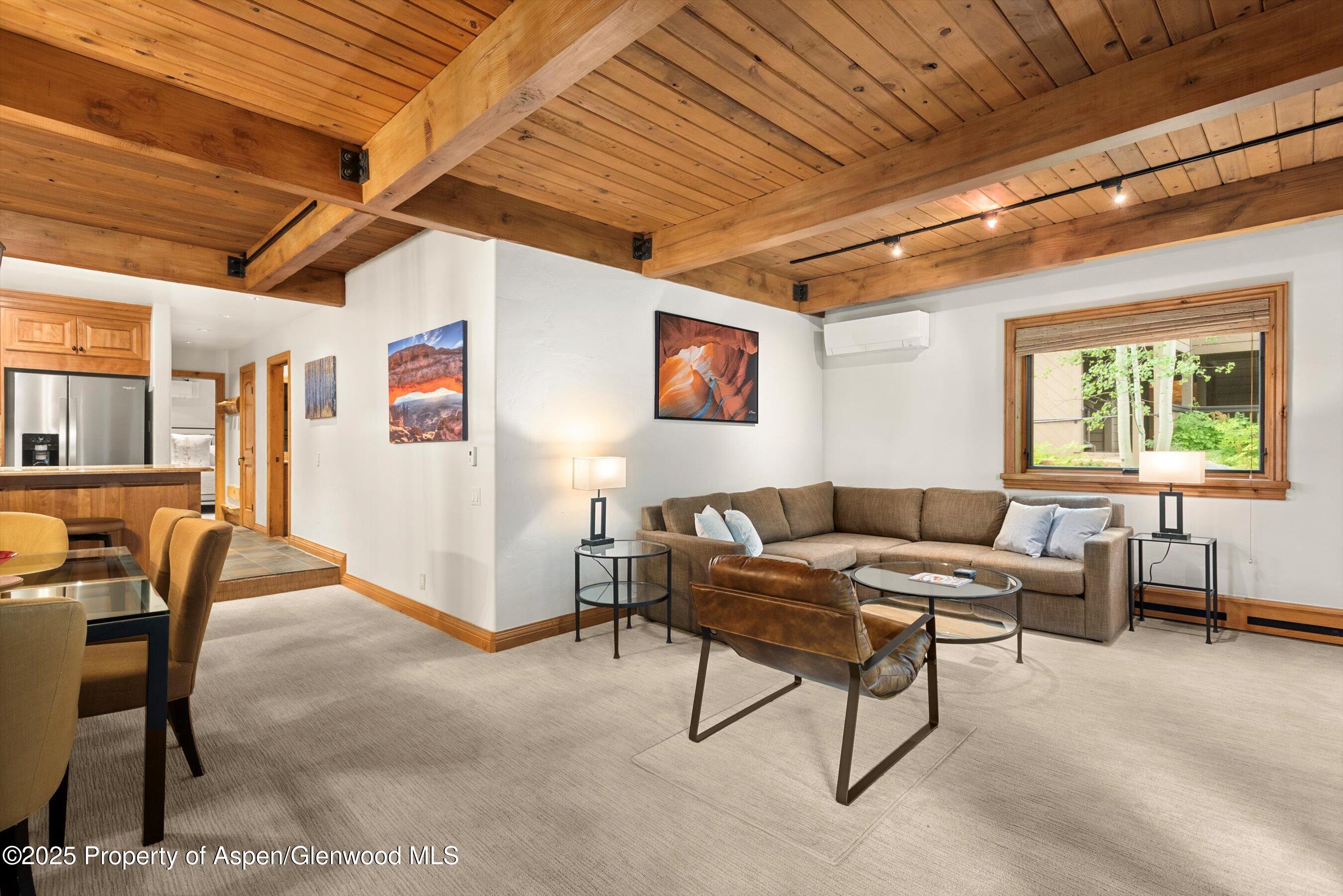 610 S West End Street Aspen CO 81611