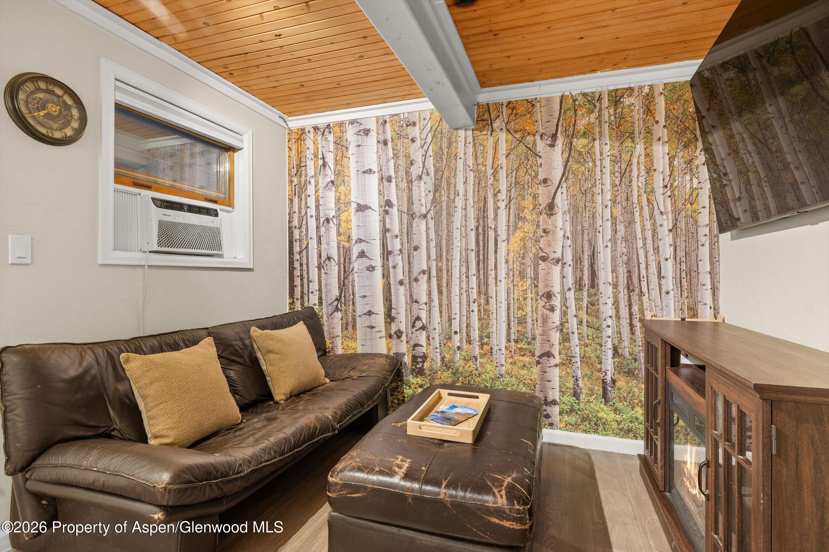 11101 Co Road 117 Glenwood Springs CO 81601