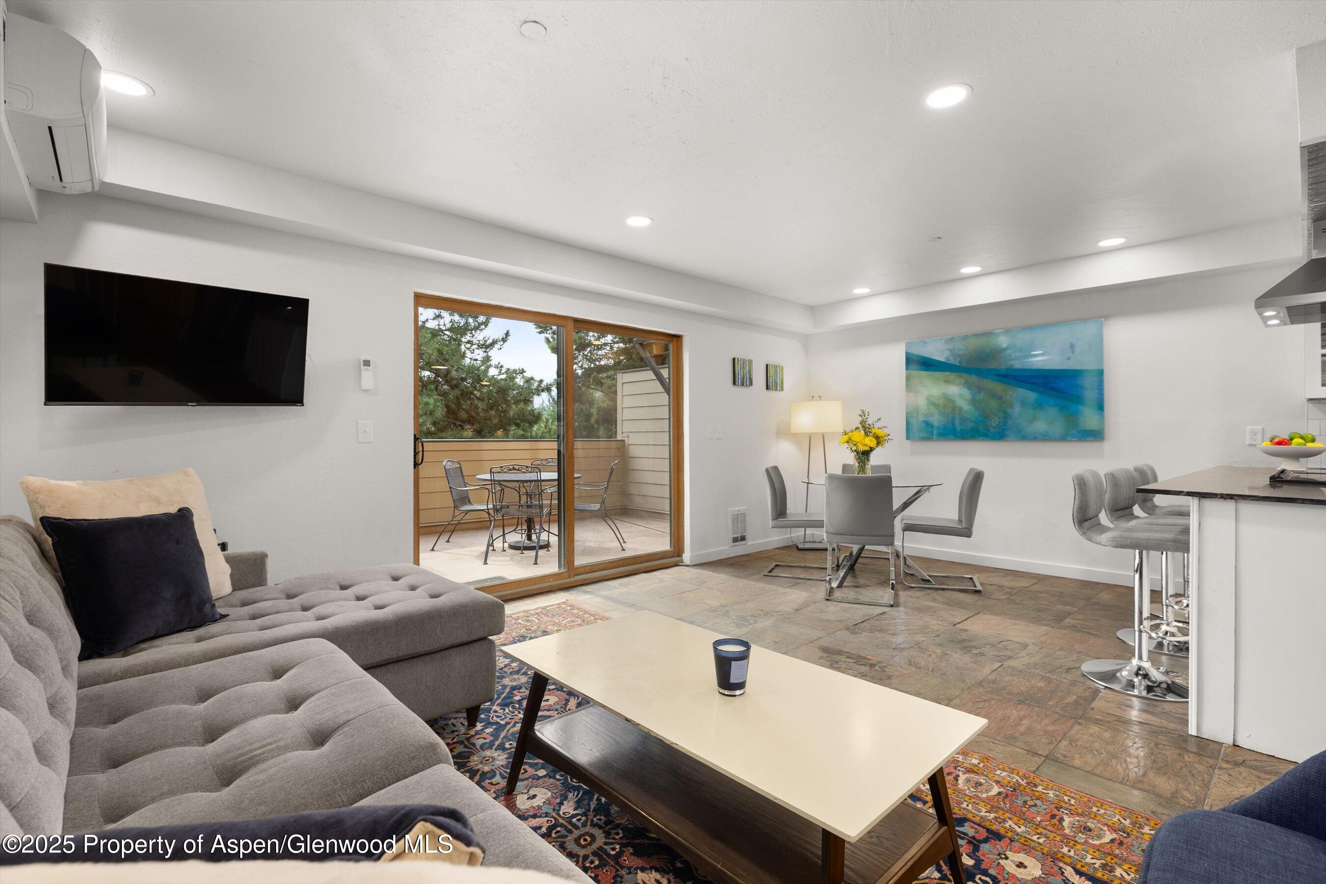 Basalt CO, 100 Midland Avenue, Unit 106