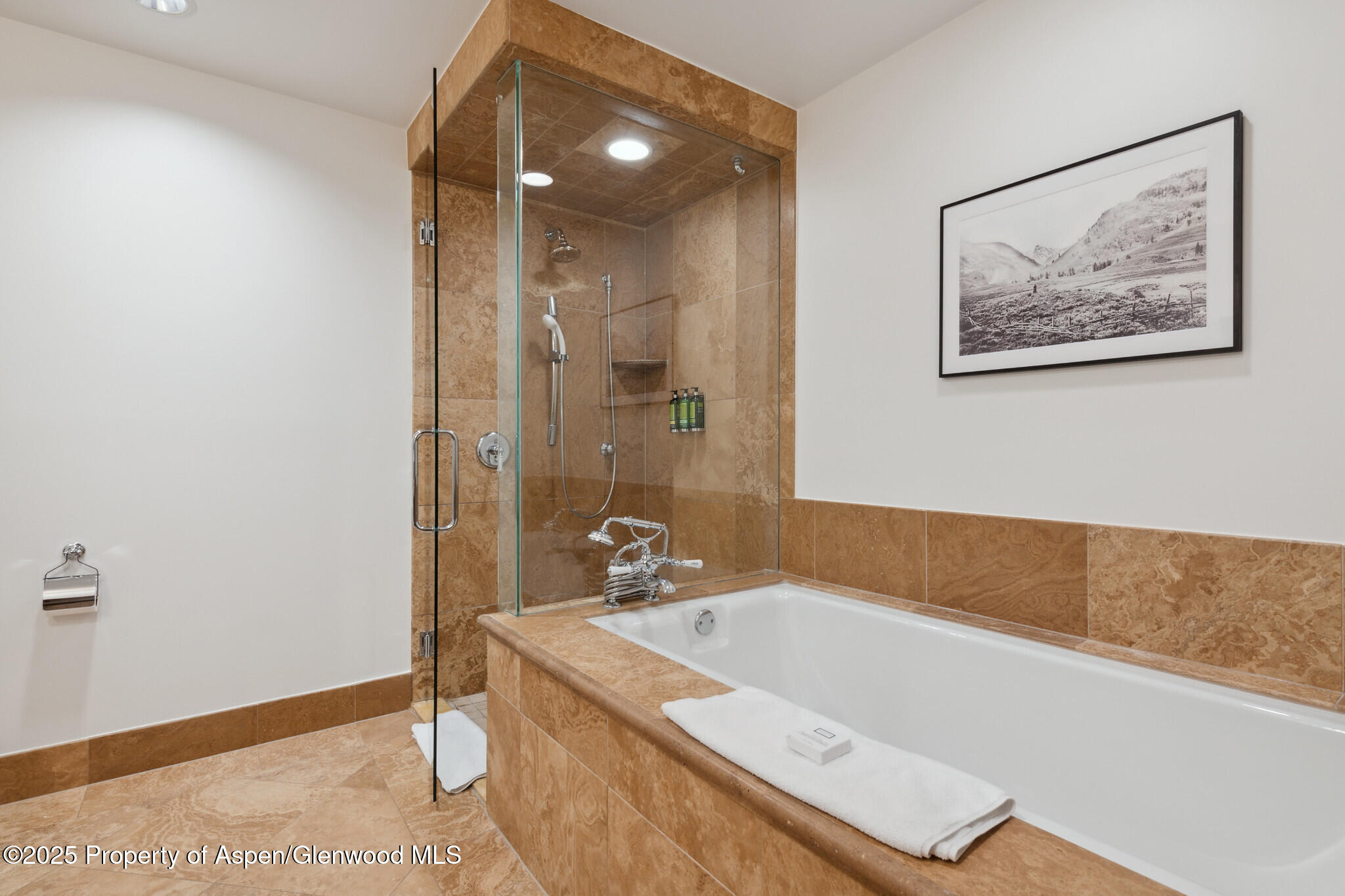 415 E Dean St., Unit 36, Weeks 5 & 6 Aspen CO 81611