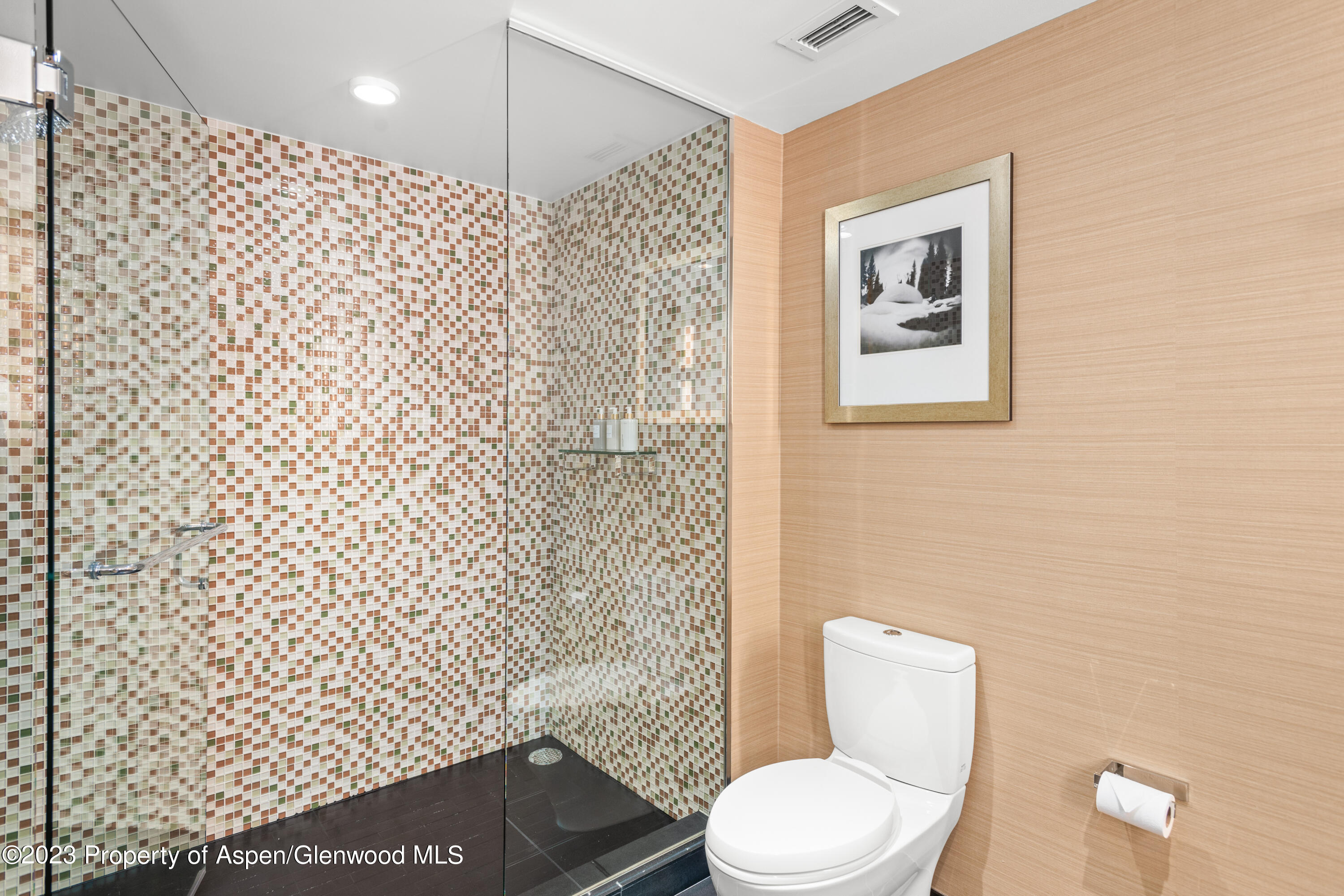 130 Wood Road Snowmass Village CO 81615