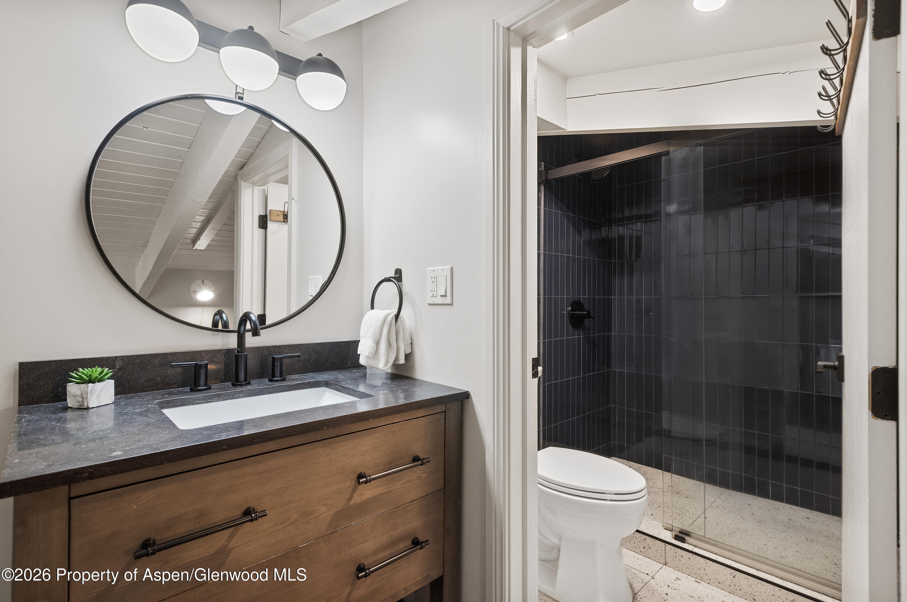 690 Carriage Way Snowmass Village CO 81615